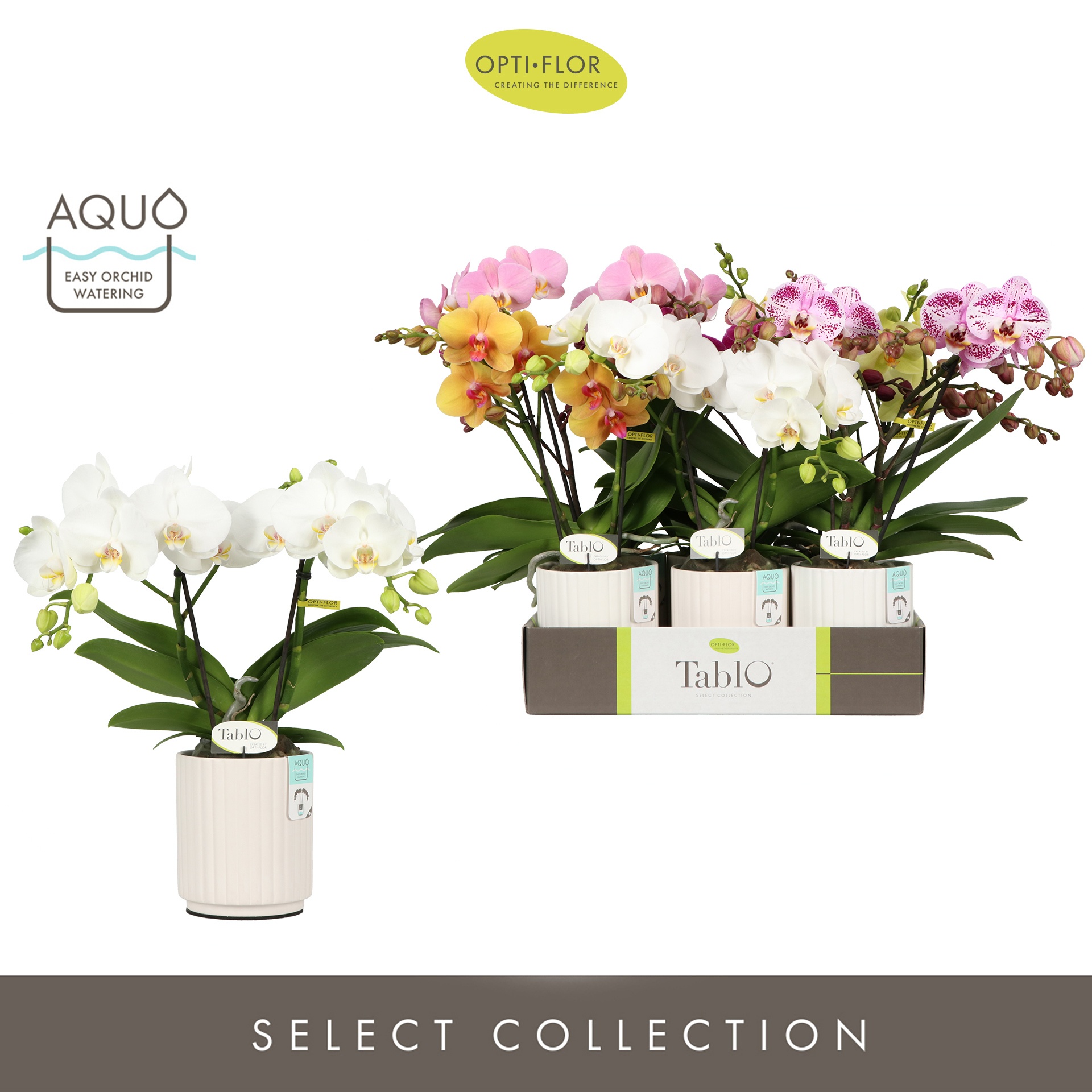 Tablo Mix 2 spike in Molise White Aquo, D 12 cm