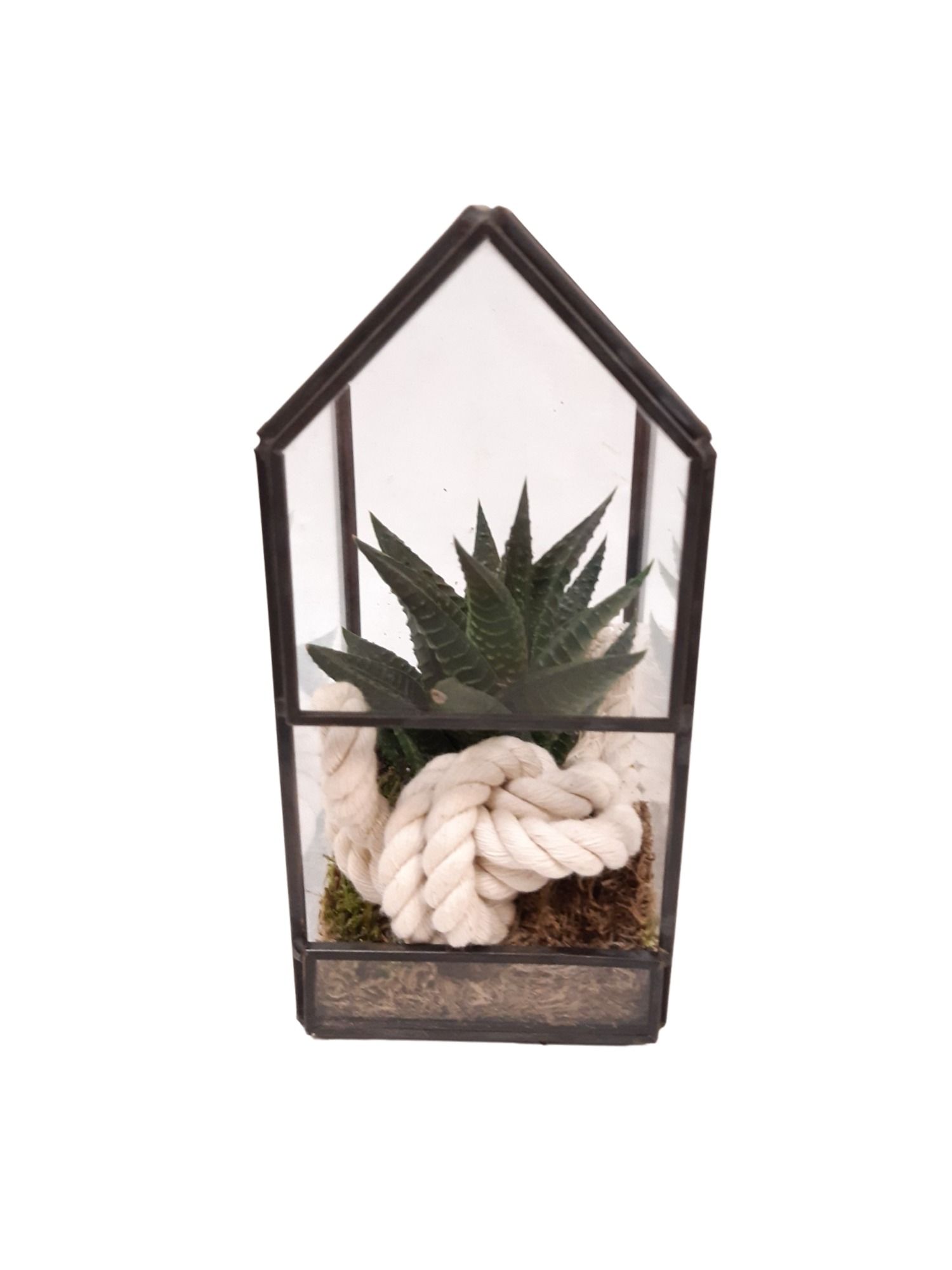 GHK8WHI Glass House Mini Terrarium, D 8