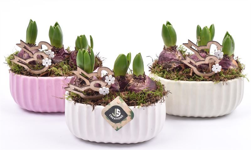 Keramiek ovaal mix kleur 18,5x12cm, D 19