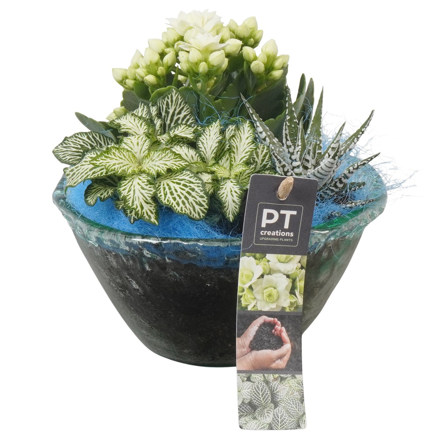 PTIDF4803, D 15