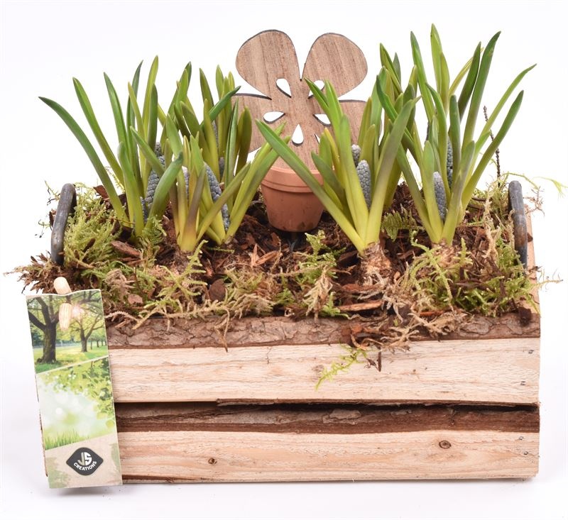 Hout rechth. met handvat 20x11cm, D 20