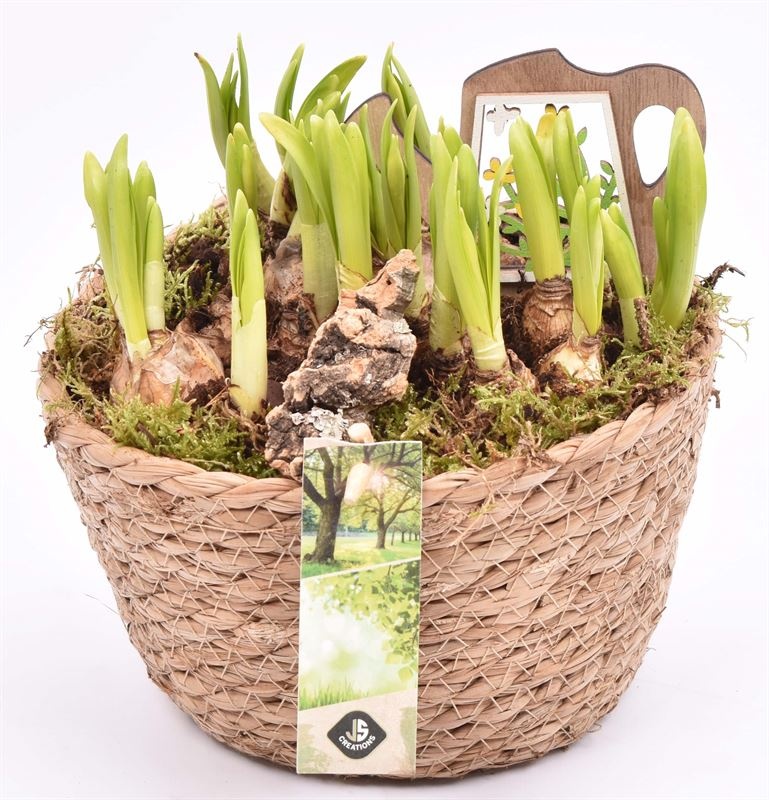 Touwmand naturel 18cm, D 18