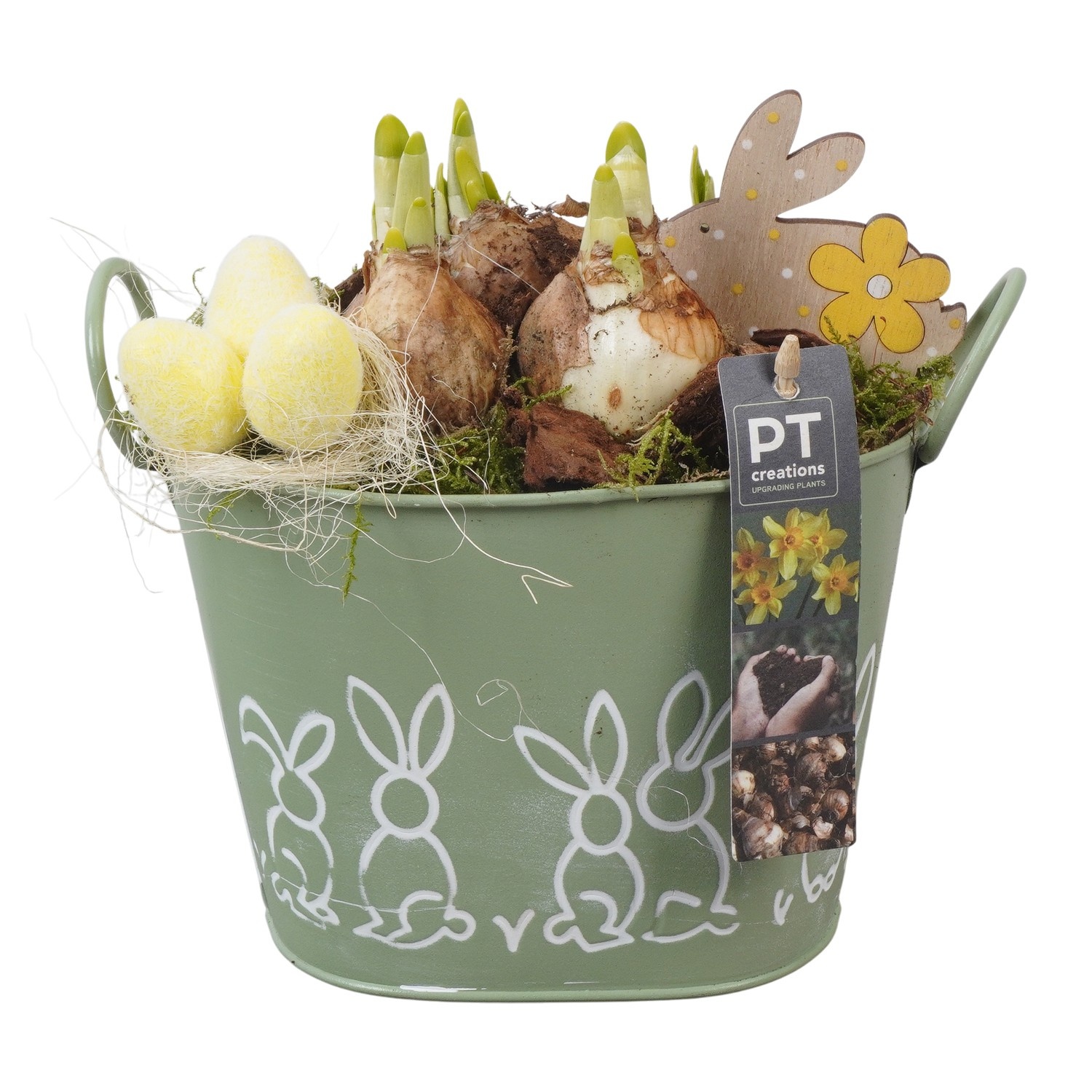 PTNP4439 Arrangement Narcissus Easter in zink pot, D 17