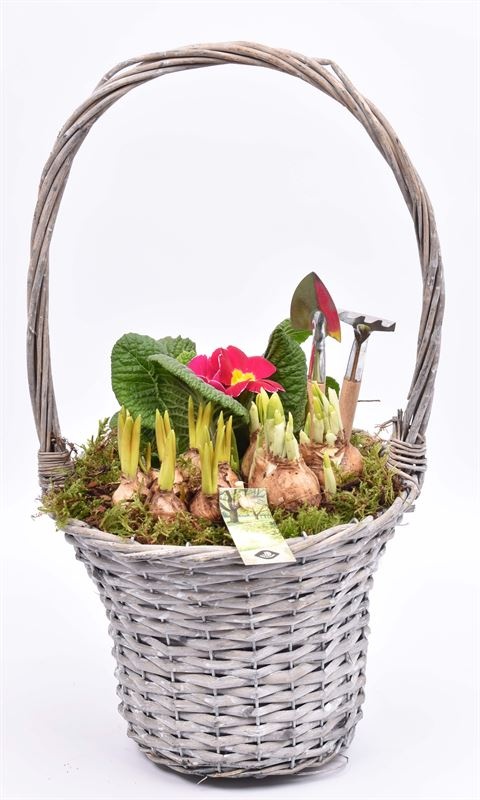 Wilg hengselmand 24 cm, D 24