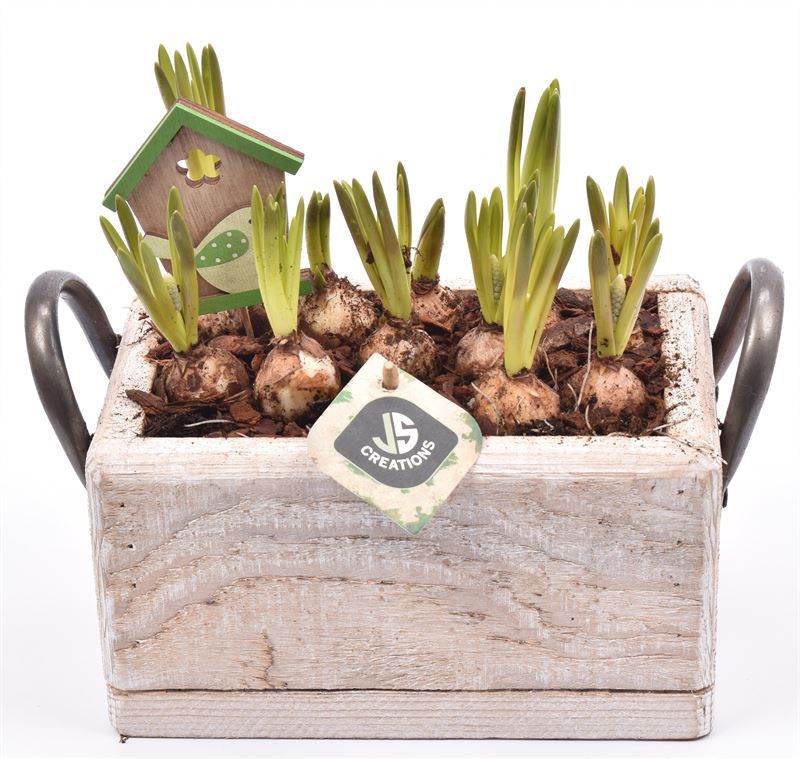 Hout rechthoek met handvat 20x13cm, D 20