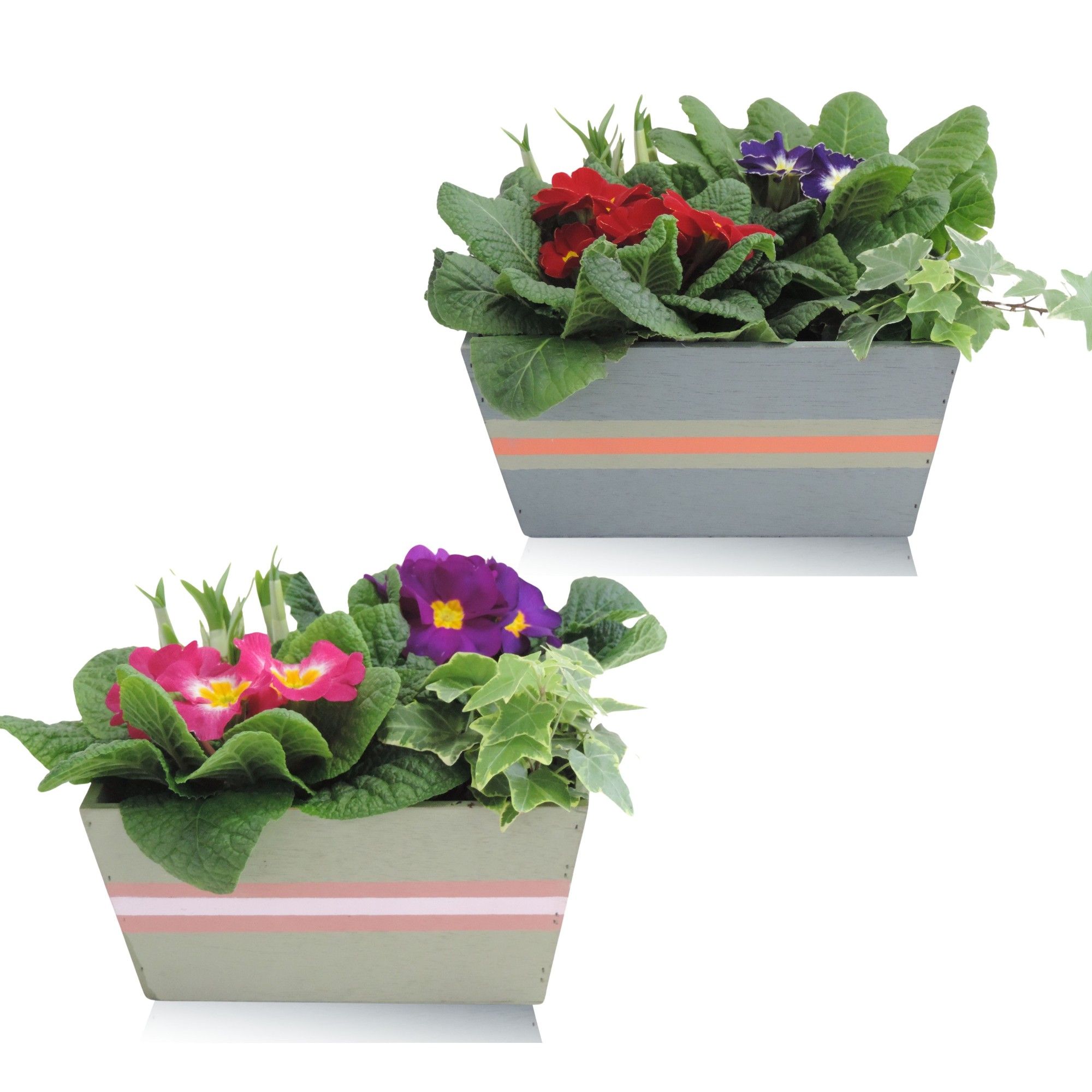 Jessy Early Spring Specials Arrangement Narcis in Houten bak 21 cm, D 21