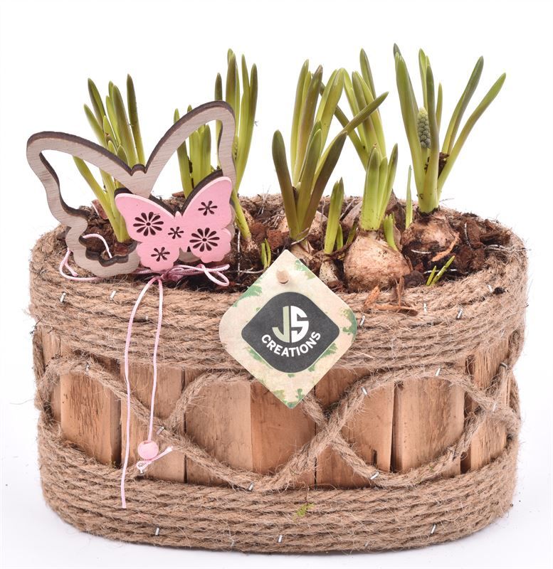 Hout ovaal met touw 21x11.5cm, D 21