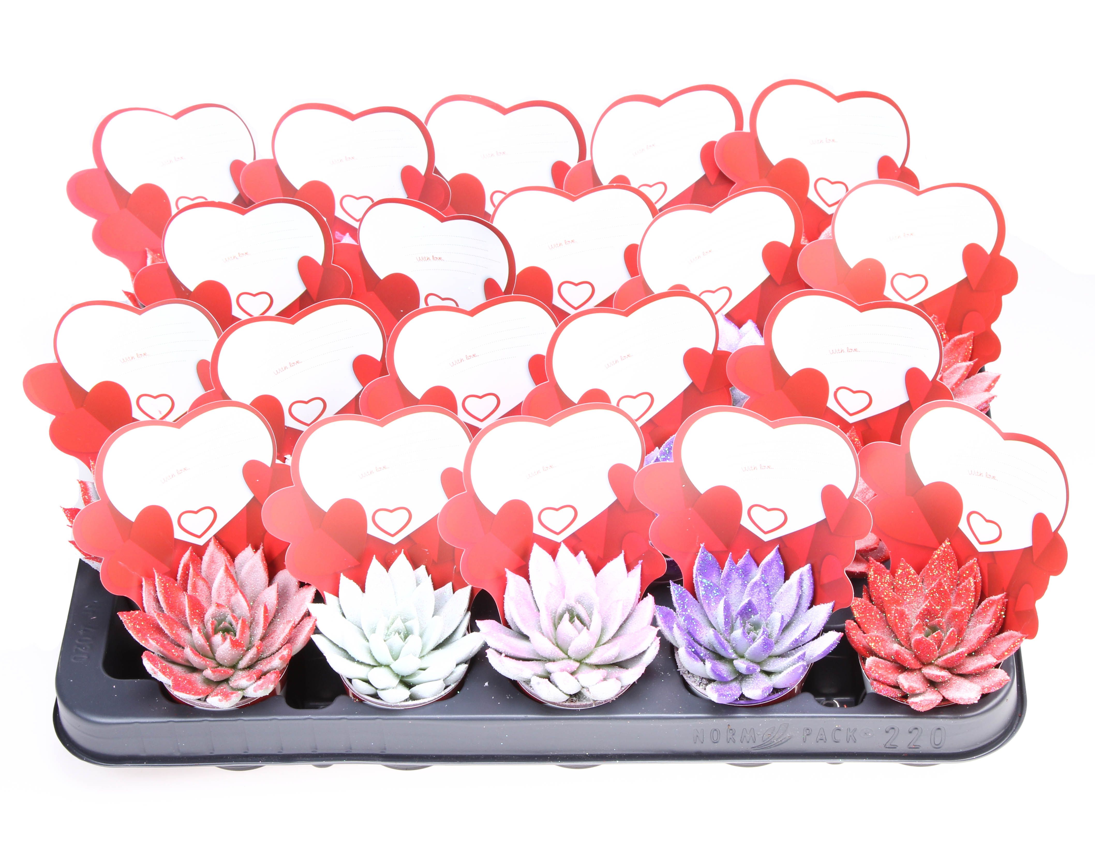 Potcover little love Valentine glitter, D 5,5