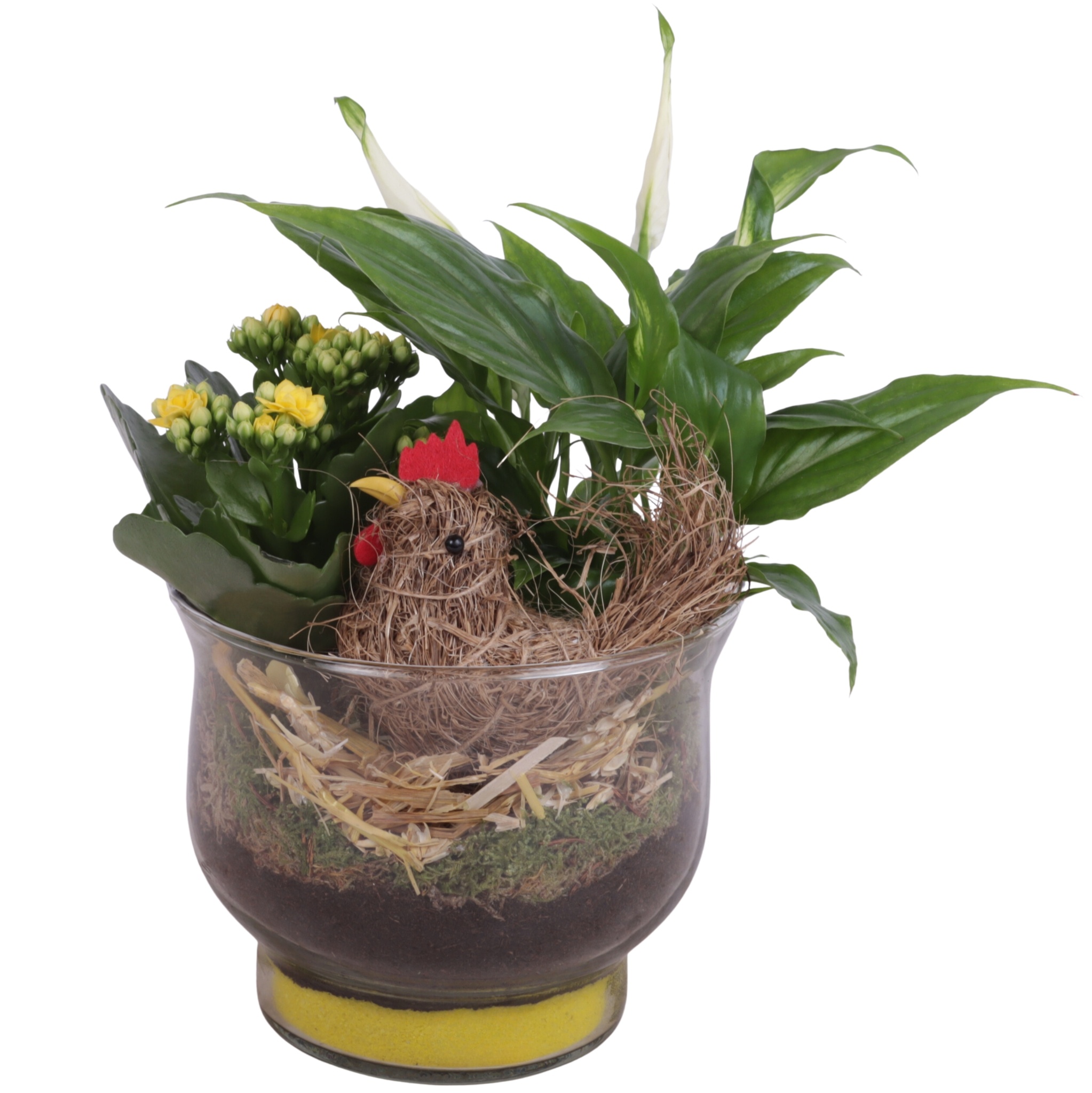 Easter Arr. Indoor Glass Tulip Vase Ø16cm 2PP, D 16