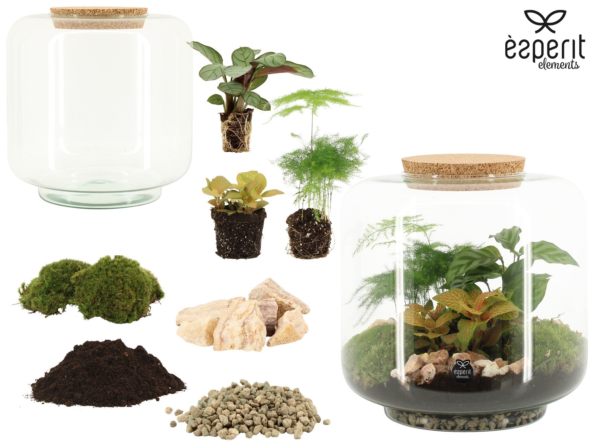 90862: DIY Terrarium arrangement, D 24