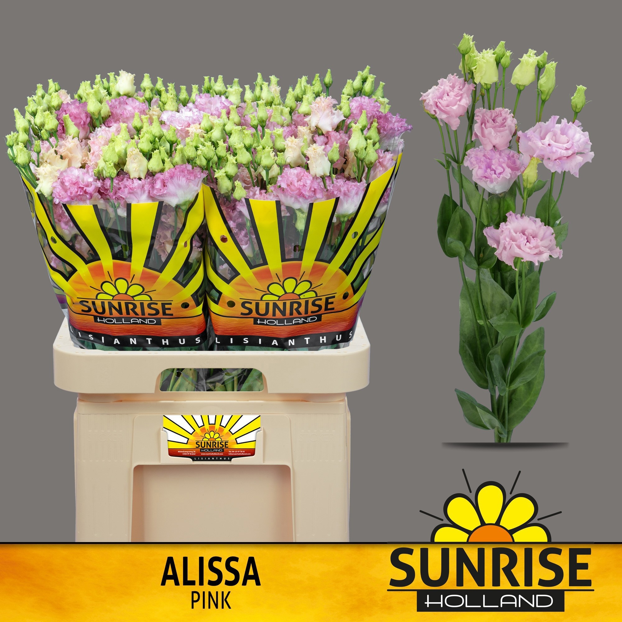 Эустома Алисса Пинк 70 (роз.), шт.