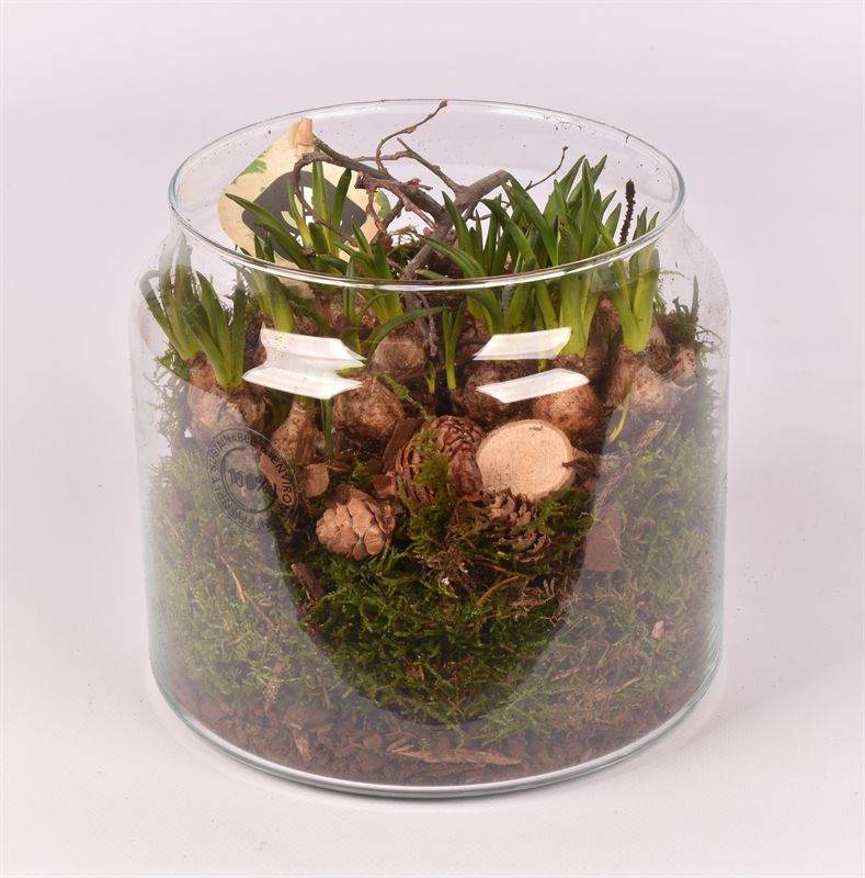 Glas cilinder 18cm, D 18