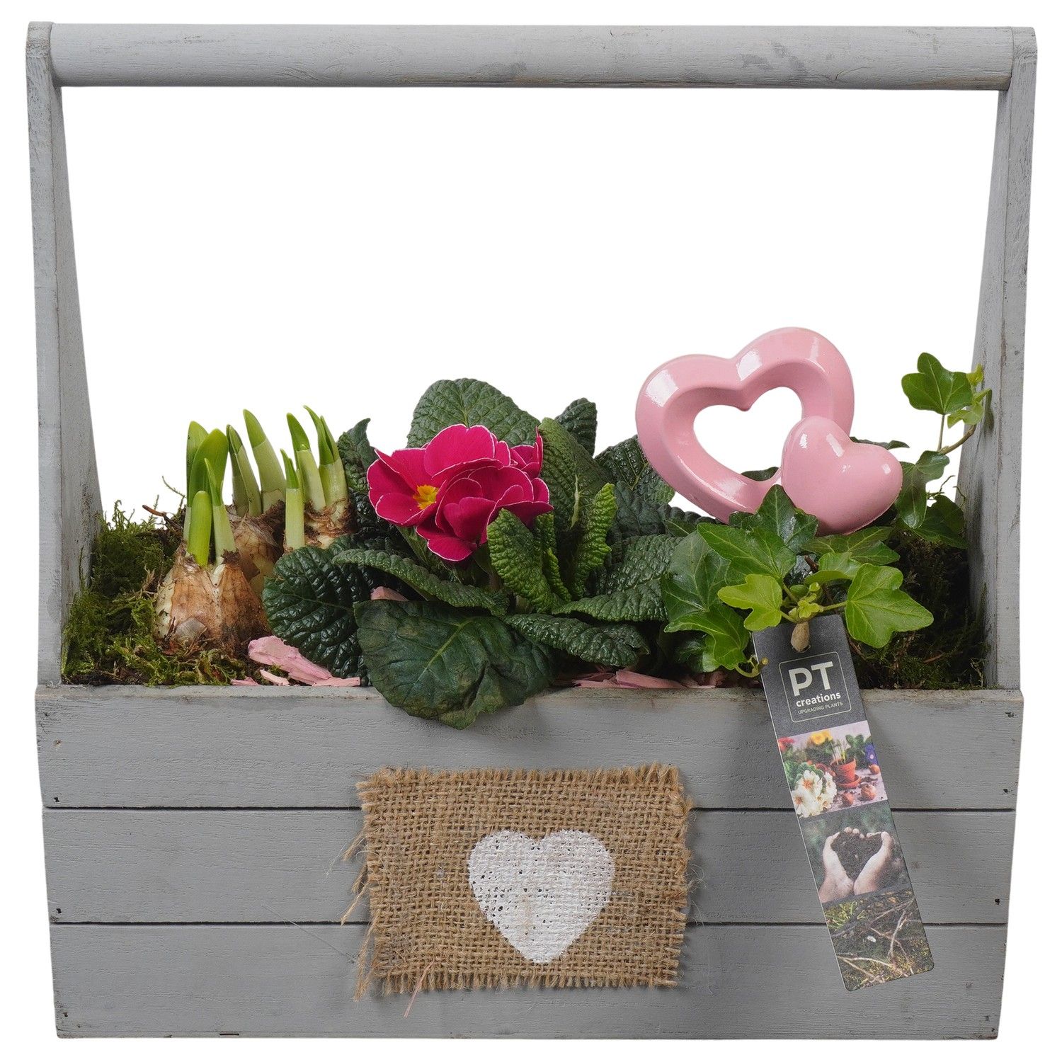 PTVO3622 Arrangement Valentine Outdoor in houten bak, D 30