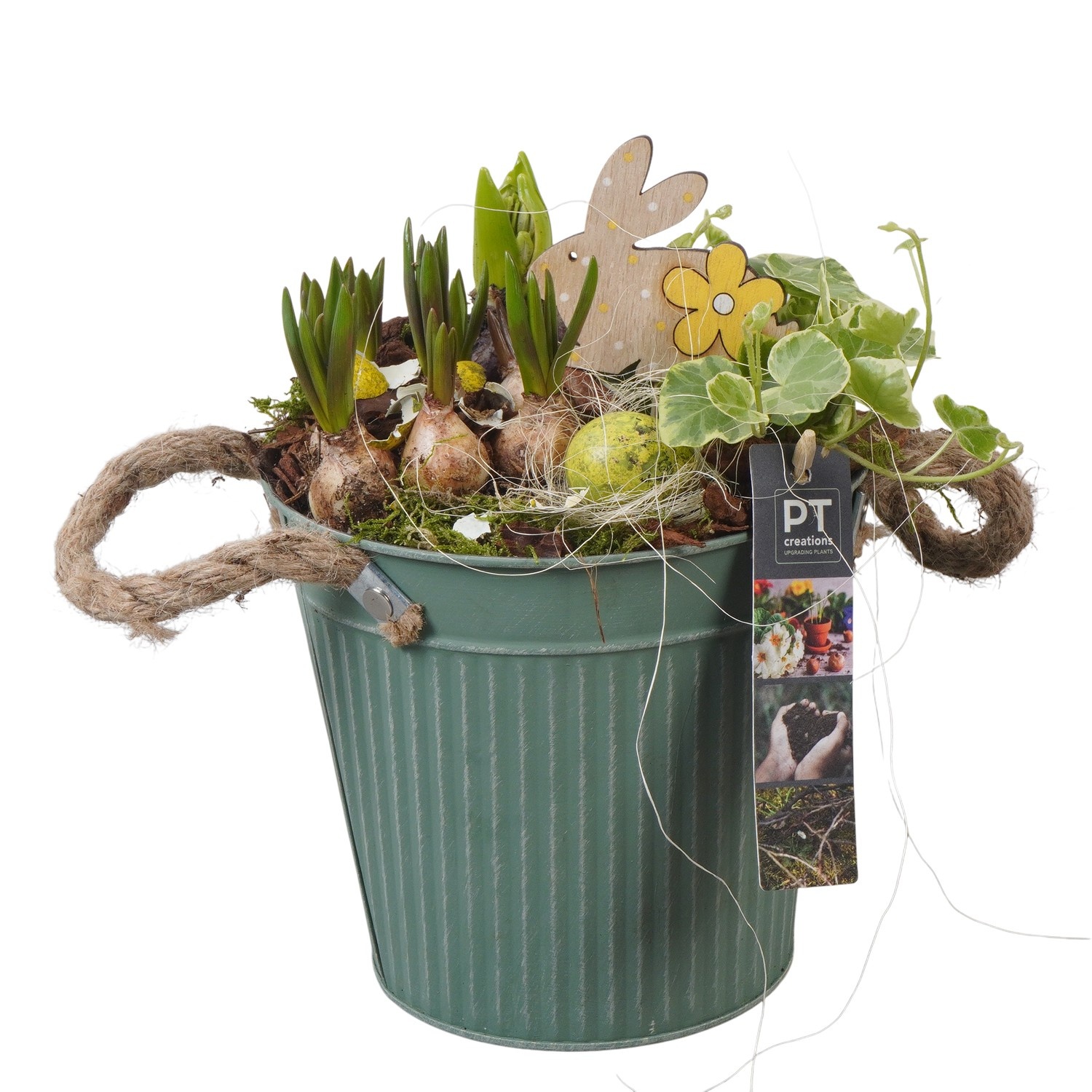 PTBMP5668 Arrangement Easter Bulbs Mix in zink pot, D 16