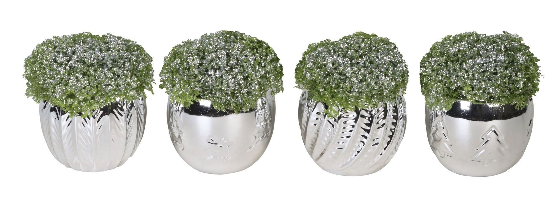 L 66423 With Selaginella Apoda Glitter 6 cm, D 6