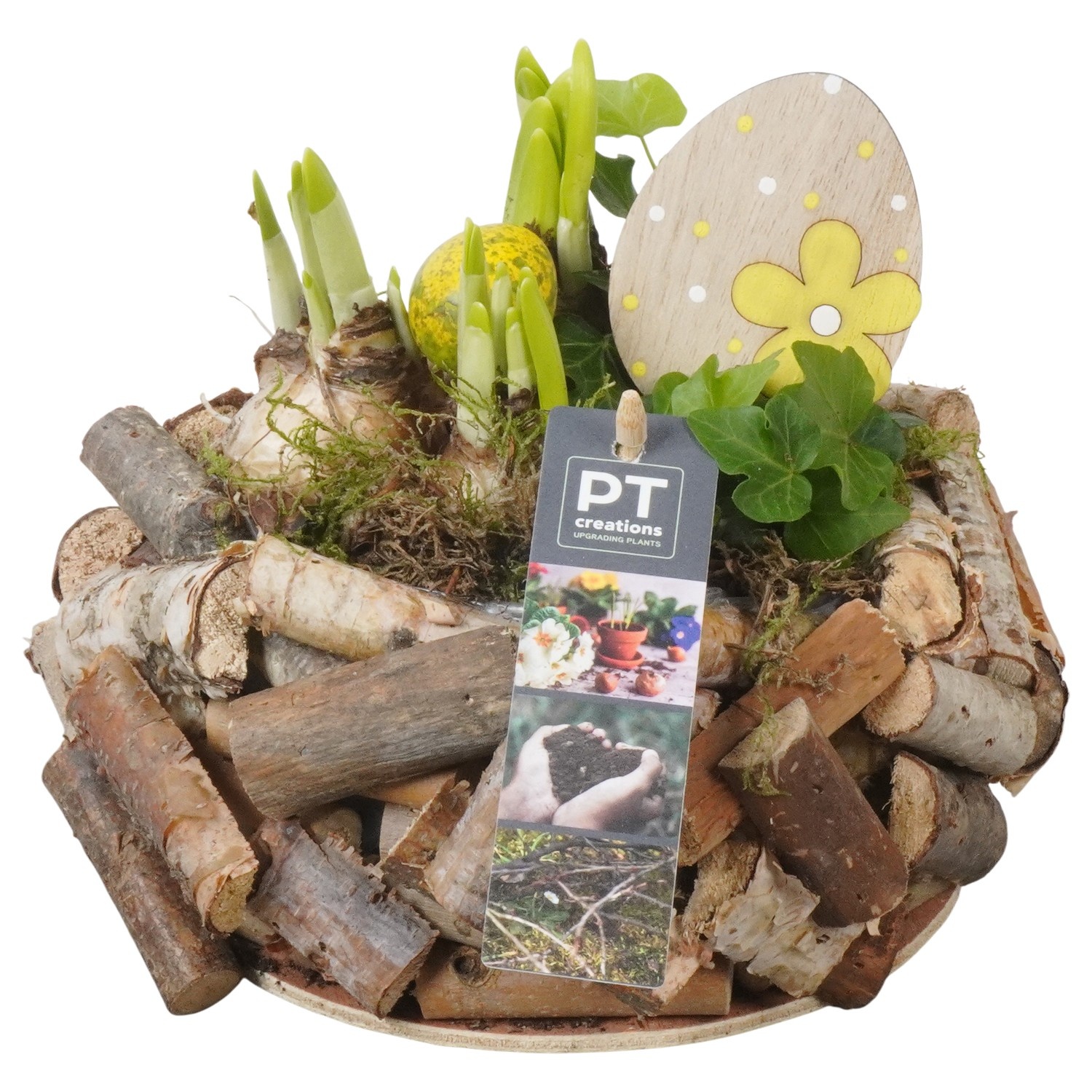 PTBMP5723 Arrangement Easter Bulbs Mix in houten pot, D 20