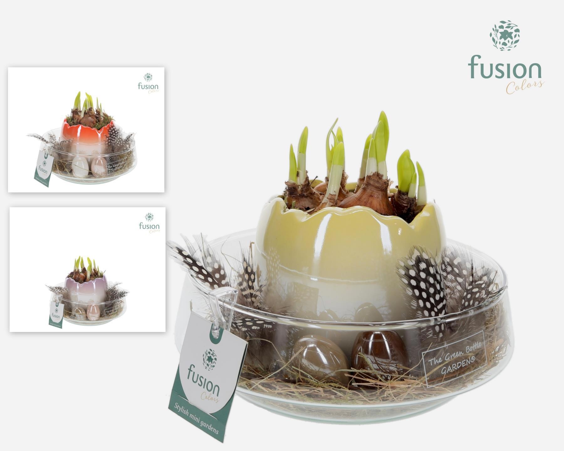 Green Bottle Iris Medium Pasen met arrangement, D 19