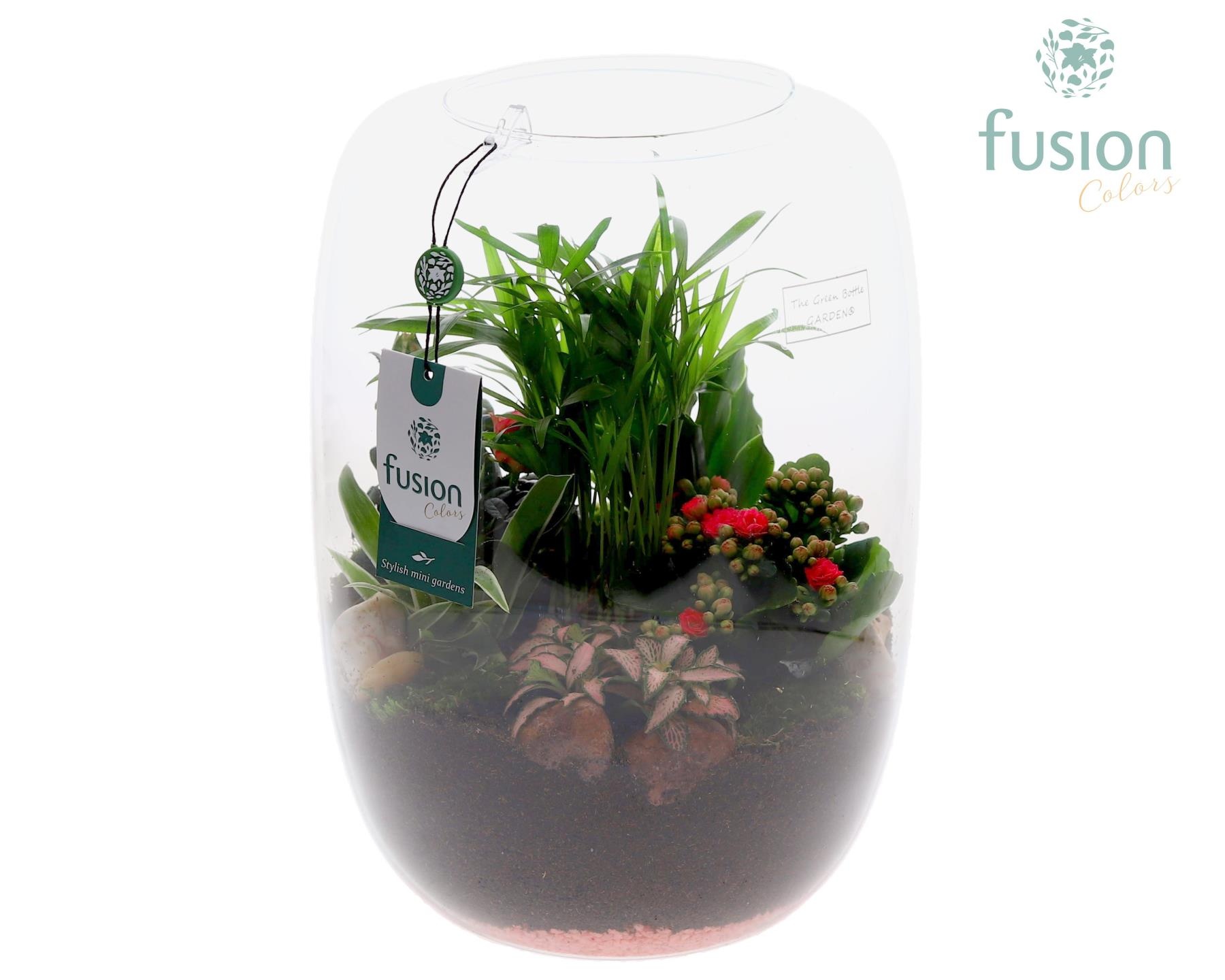 Green Bottle Isabella XLarge Love met arrangement, D 23