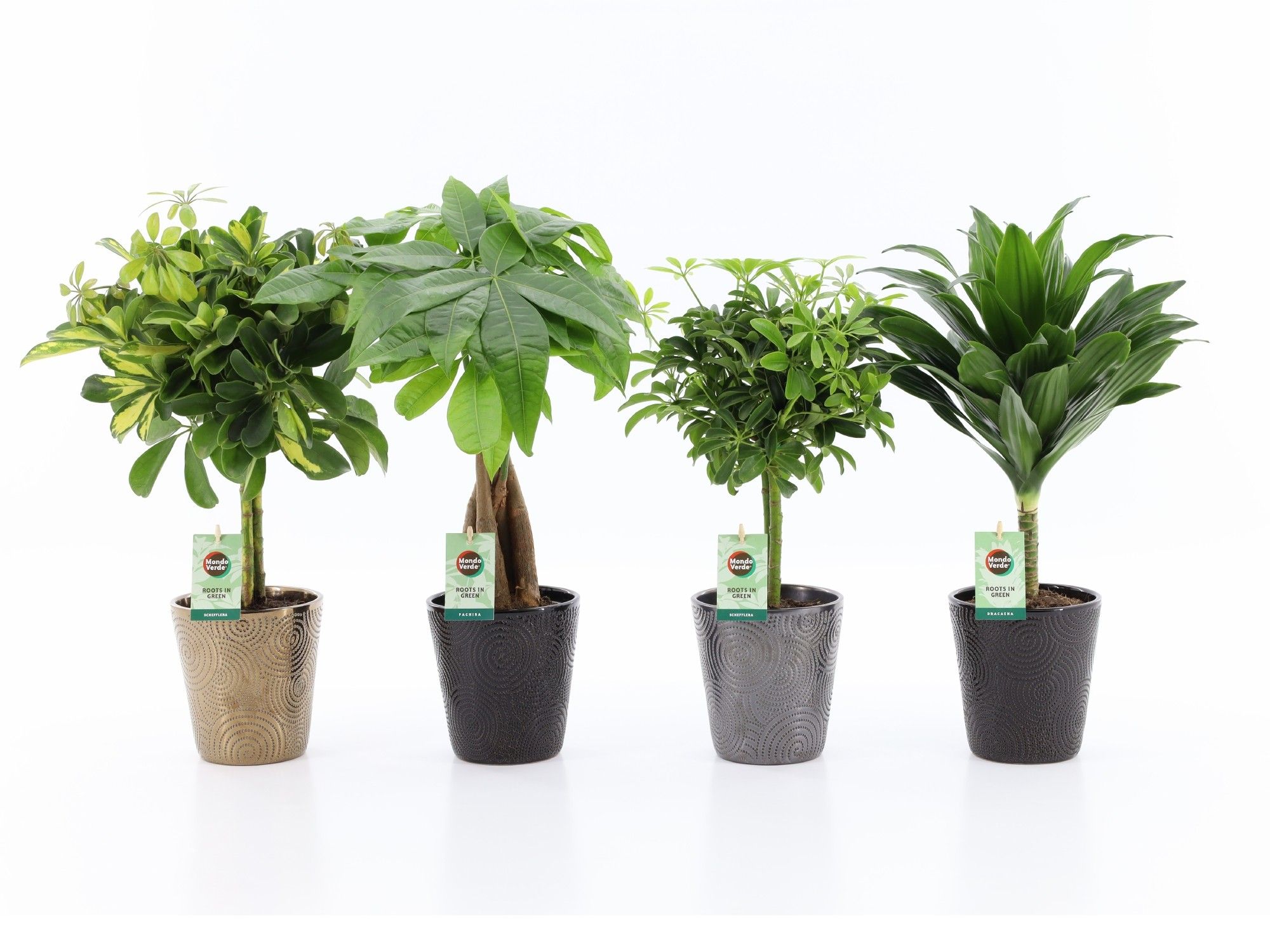 Stammenmix in Infinity keramiek, D 13