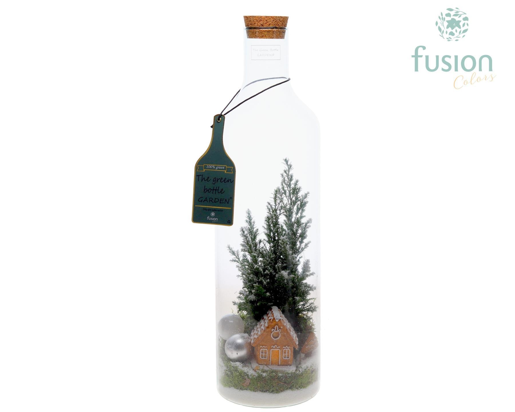 Green Bottle fles Large met Chamaecyparis, D 15