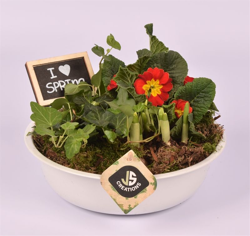 Zink schaal wit 22cm, D 22