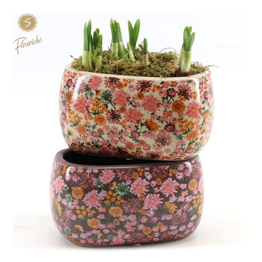 (2603) Narcissus Late Fashion Oval 2PP Mos, D 17