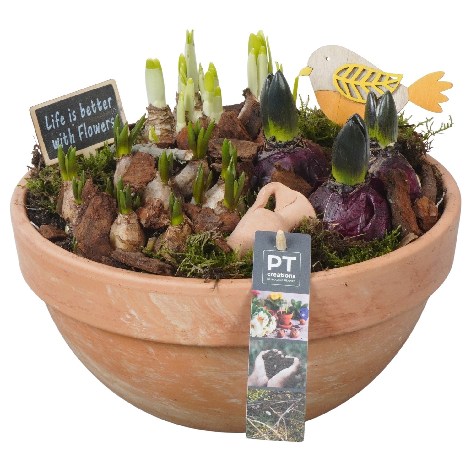 PTBM3884 Arrangement Flower Bulbs Mix in terracotta schaal, D 26