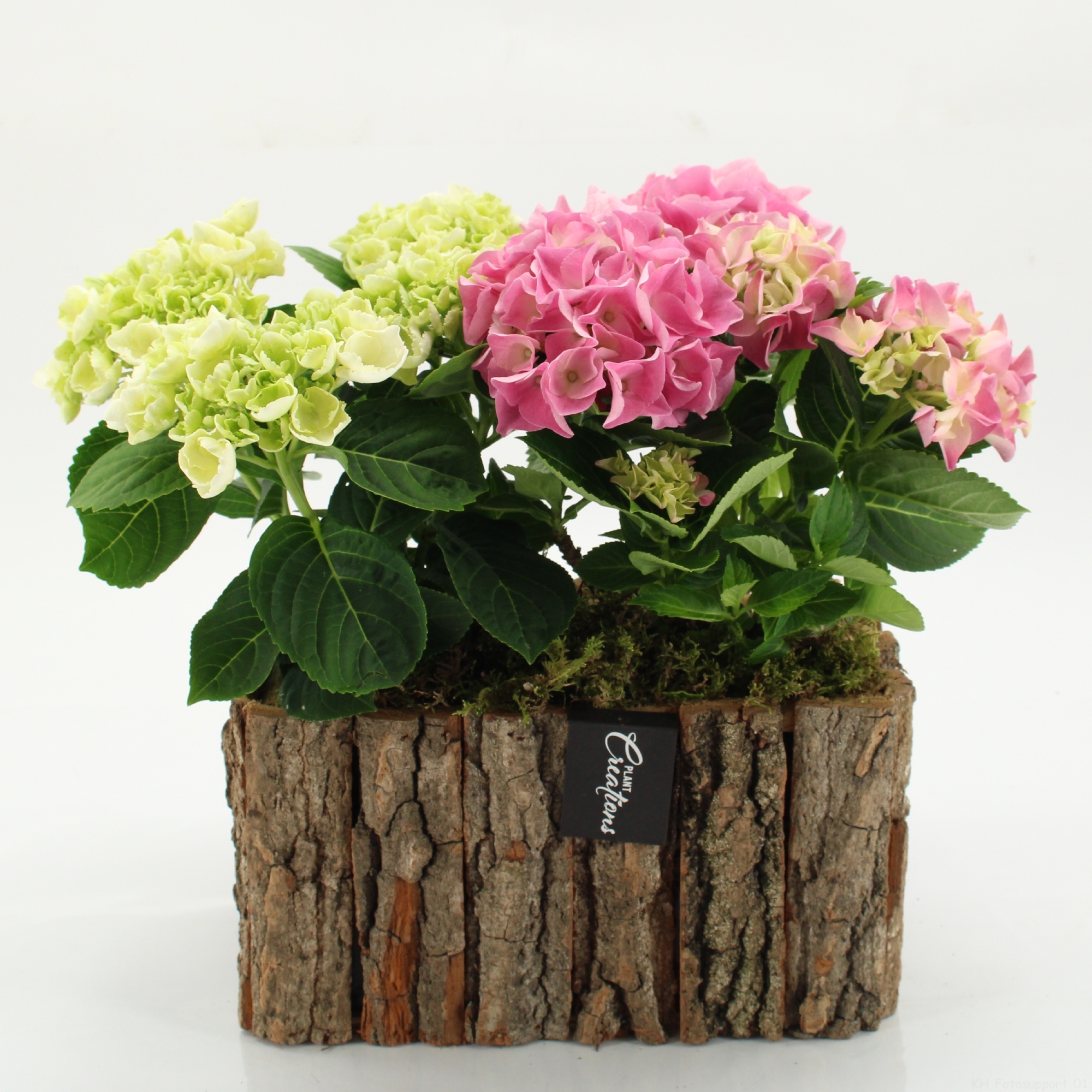 KHCR-2606M Hydrangea creations, D 26