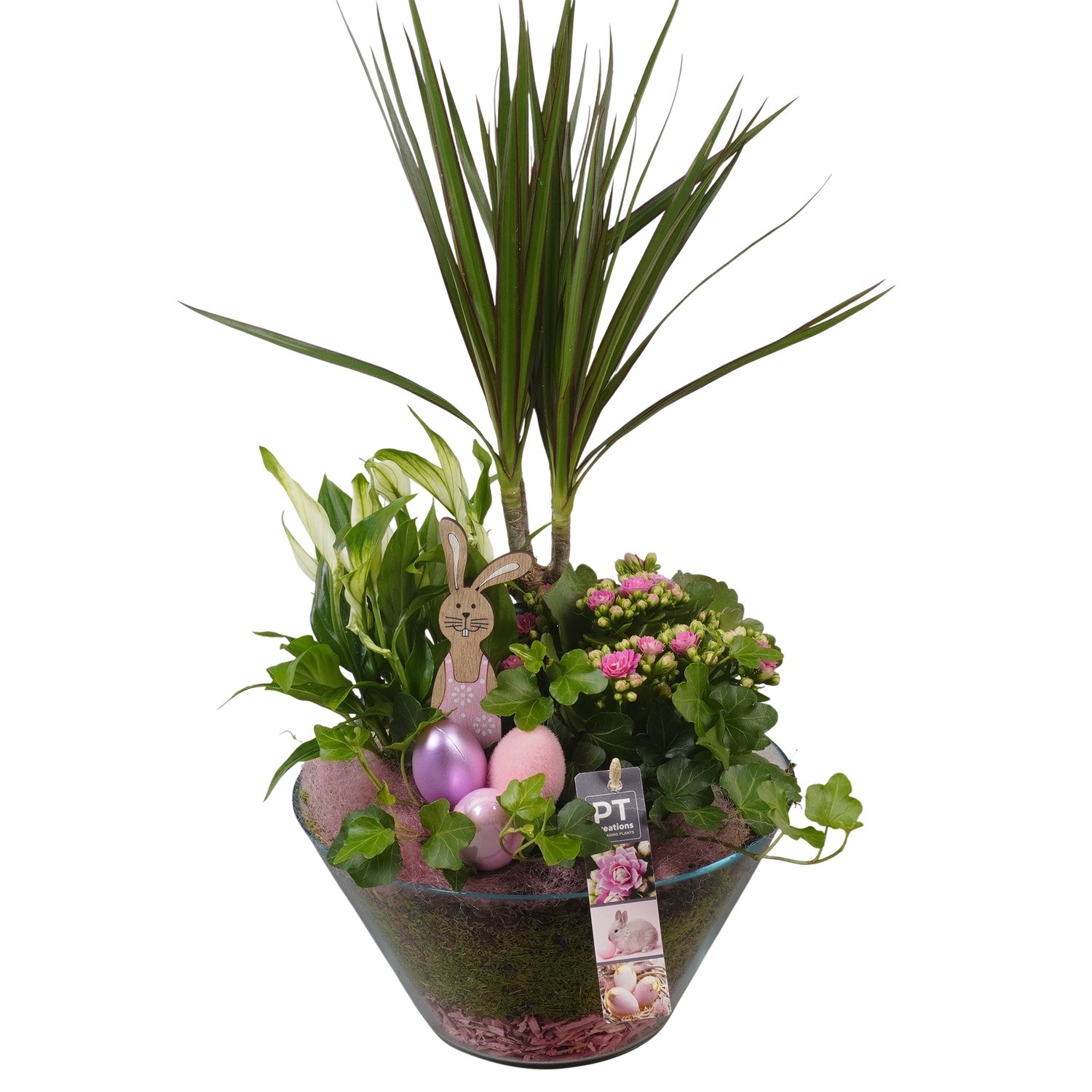 PTPG9362 Arrangement Easter in glasschaal, D 26