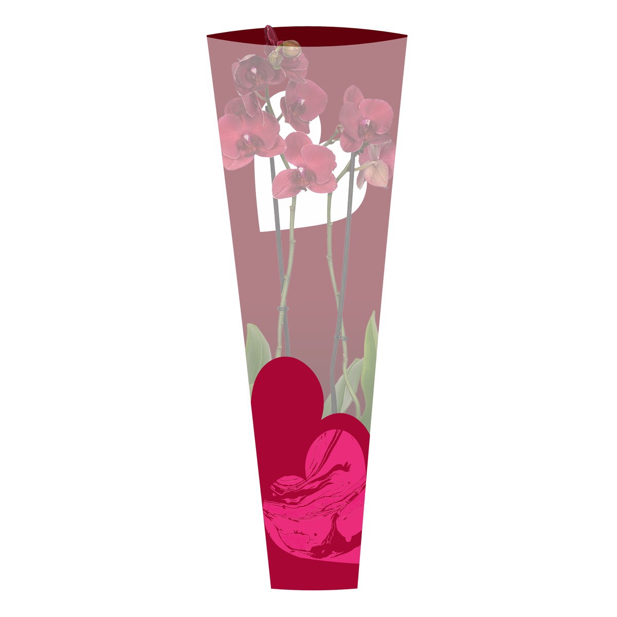 PHAL 2T MIX HEART SLEEVE, D 12