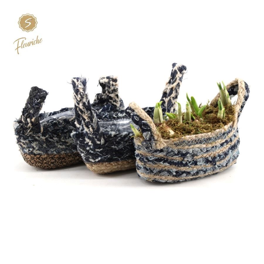 (3707) Narcissus Blue Jeans Oval 3PP Mos, D 13