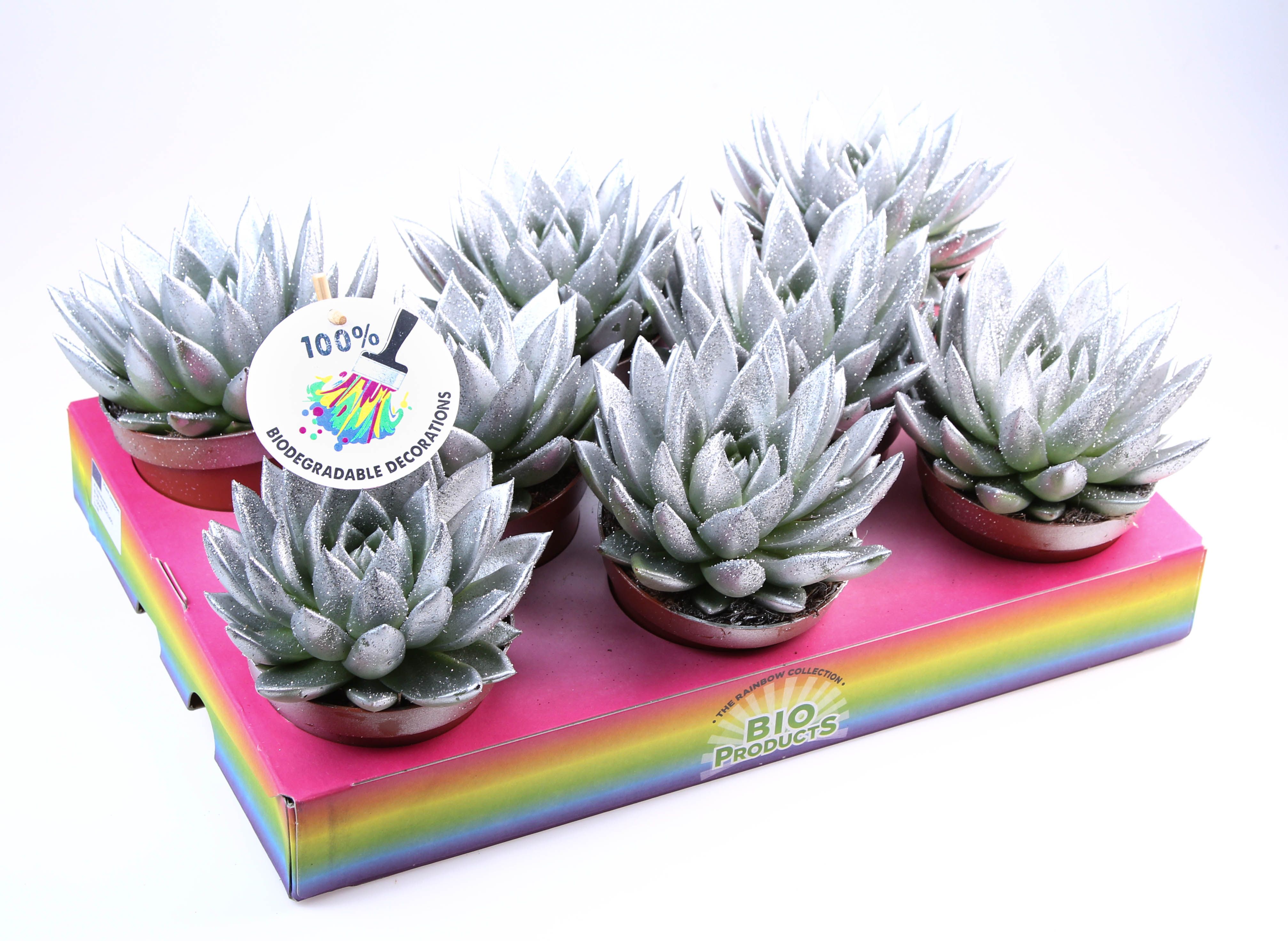 Bio miranda silver glitter, D 10,5