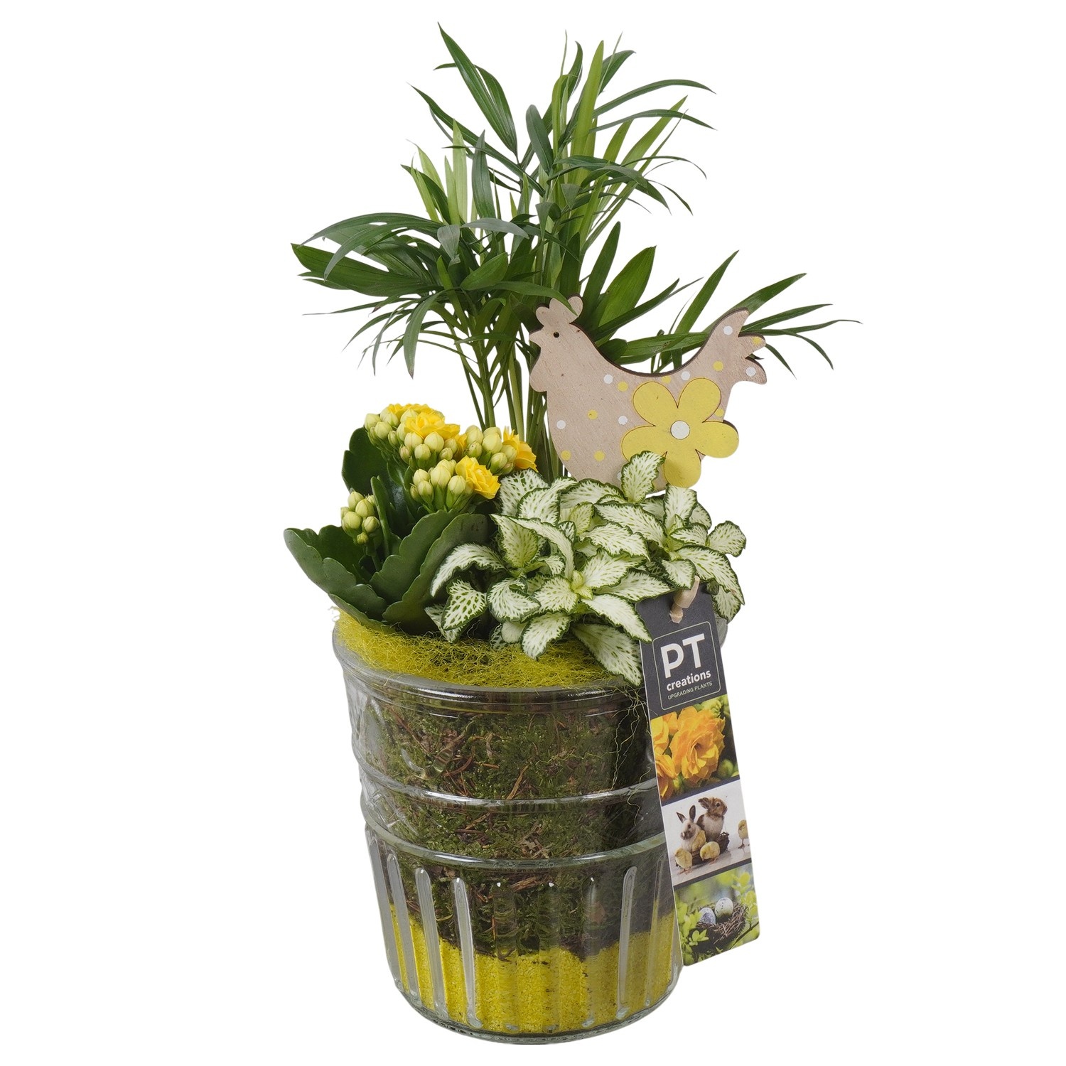 PTPG9392 Arrangement Easter in glas vaas, D 12