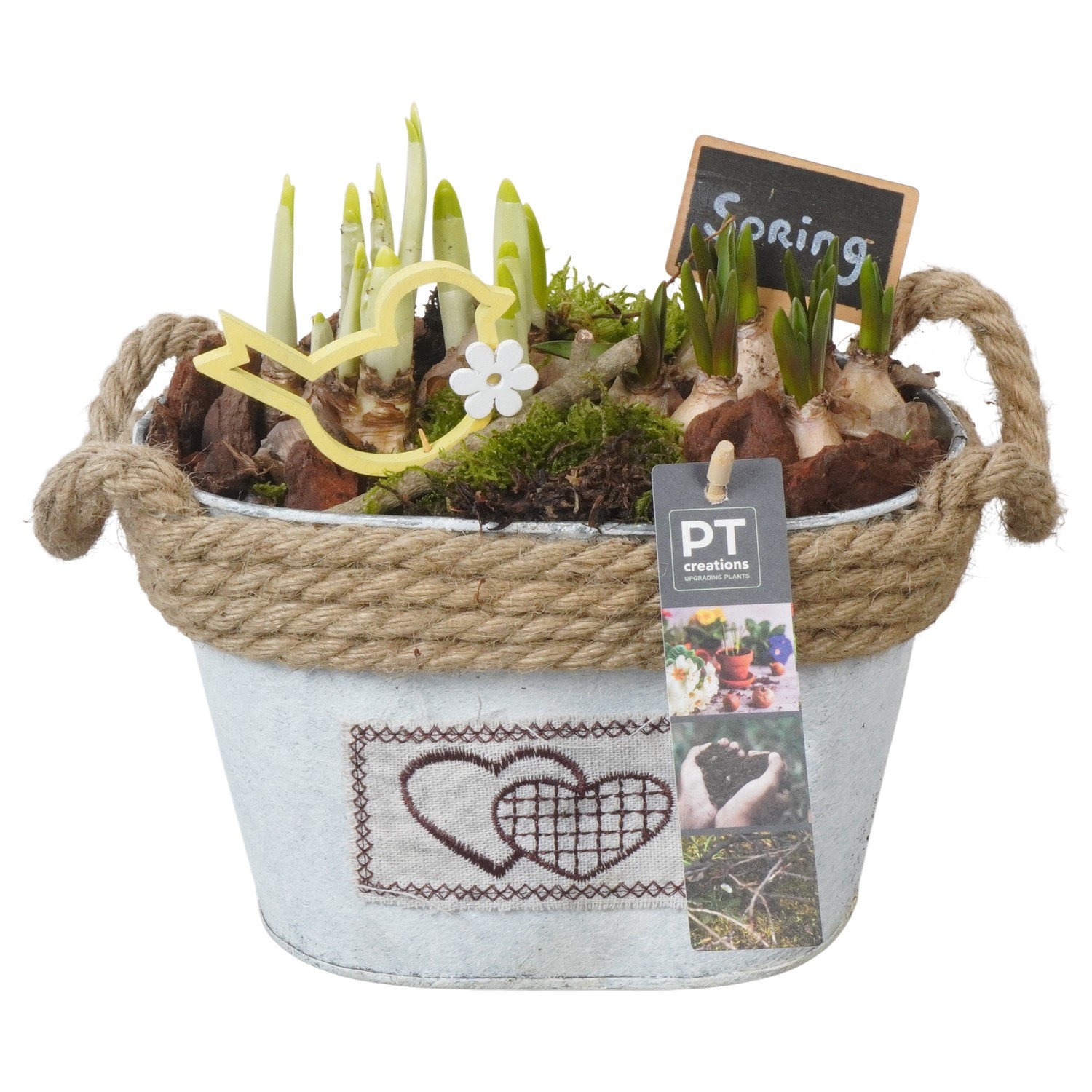 PTBM3796 Arrangement Flower Bulbs Mix in metalen pot, D 20