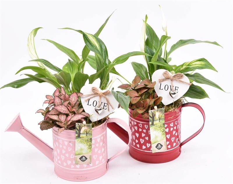 Zink gieter hart decor 24x10cm, D 24