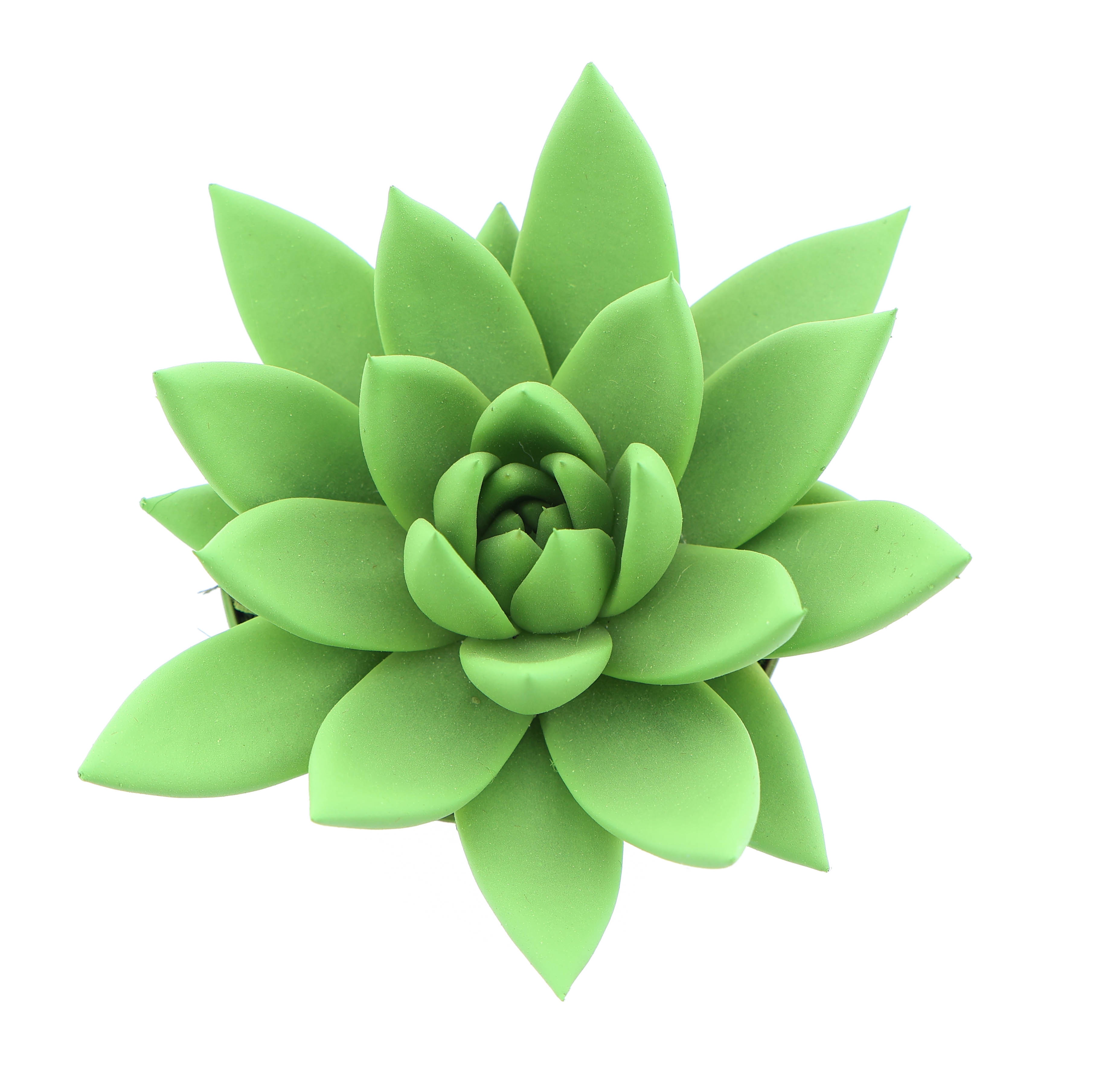 Rainbow bright green, D 8,5