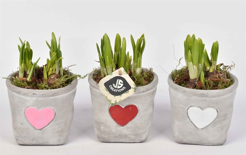 Cement potje met hart 11cm, D 11