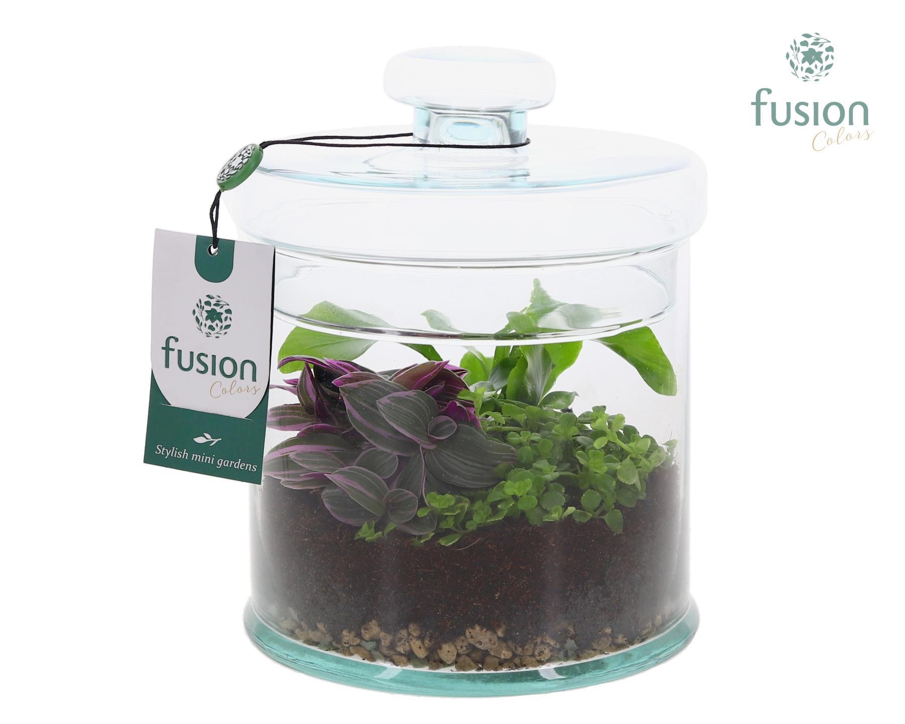 Glaspot met deksel en Groenen planten, D 18