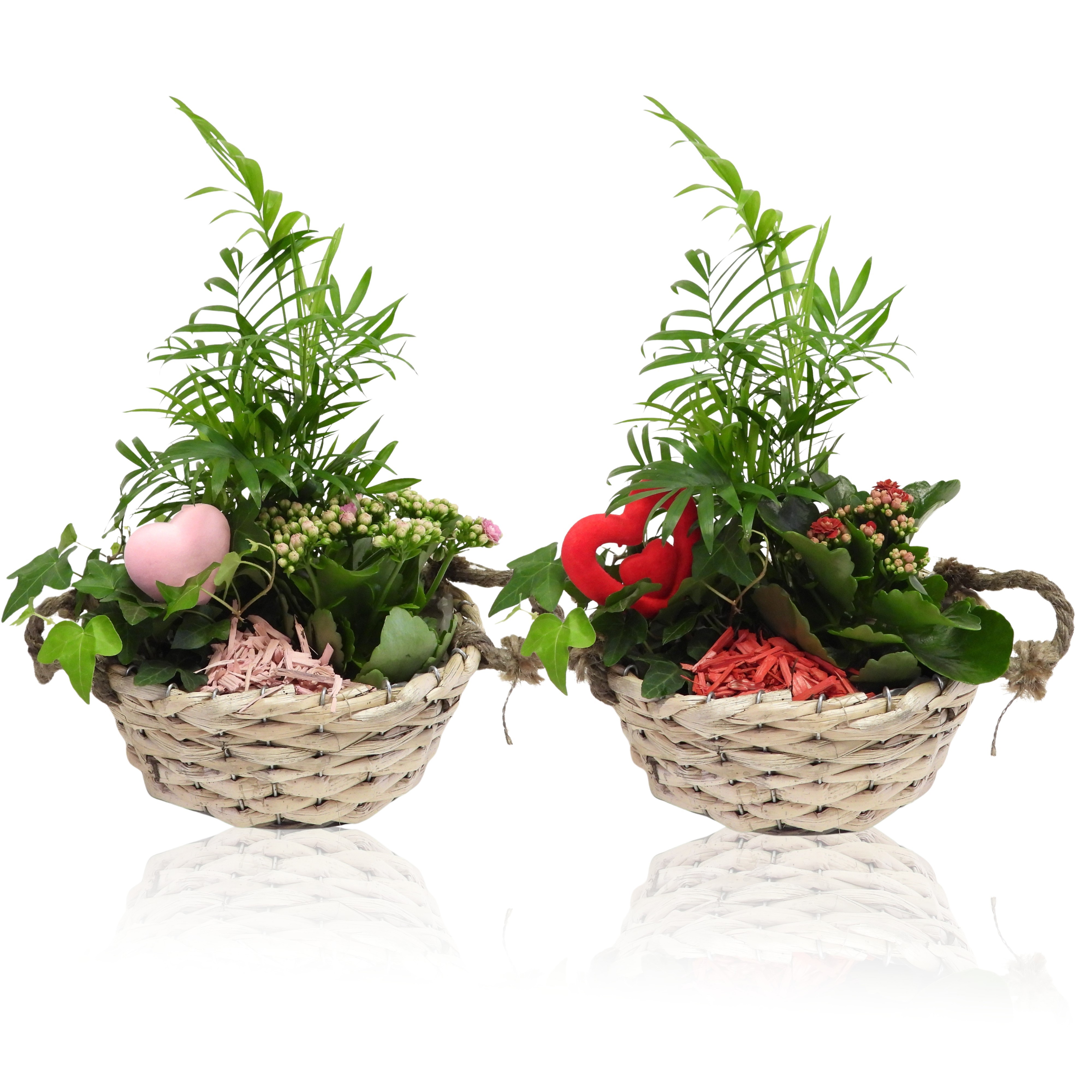 Love Specials Arrangement Mand Ovaal 24 cm, D 24