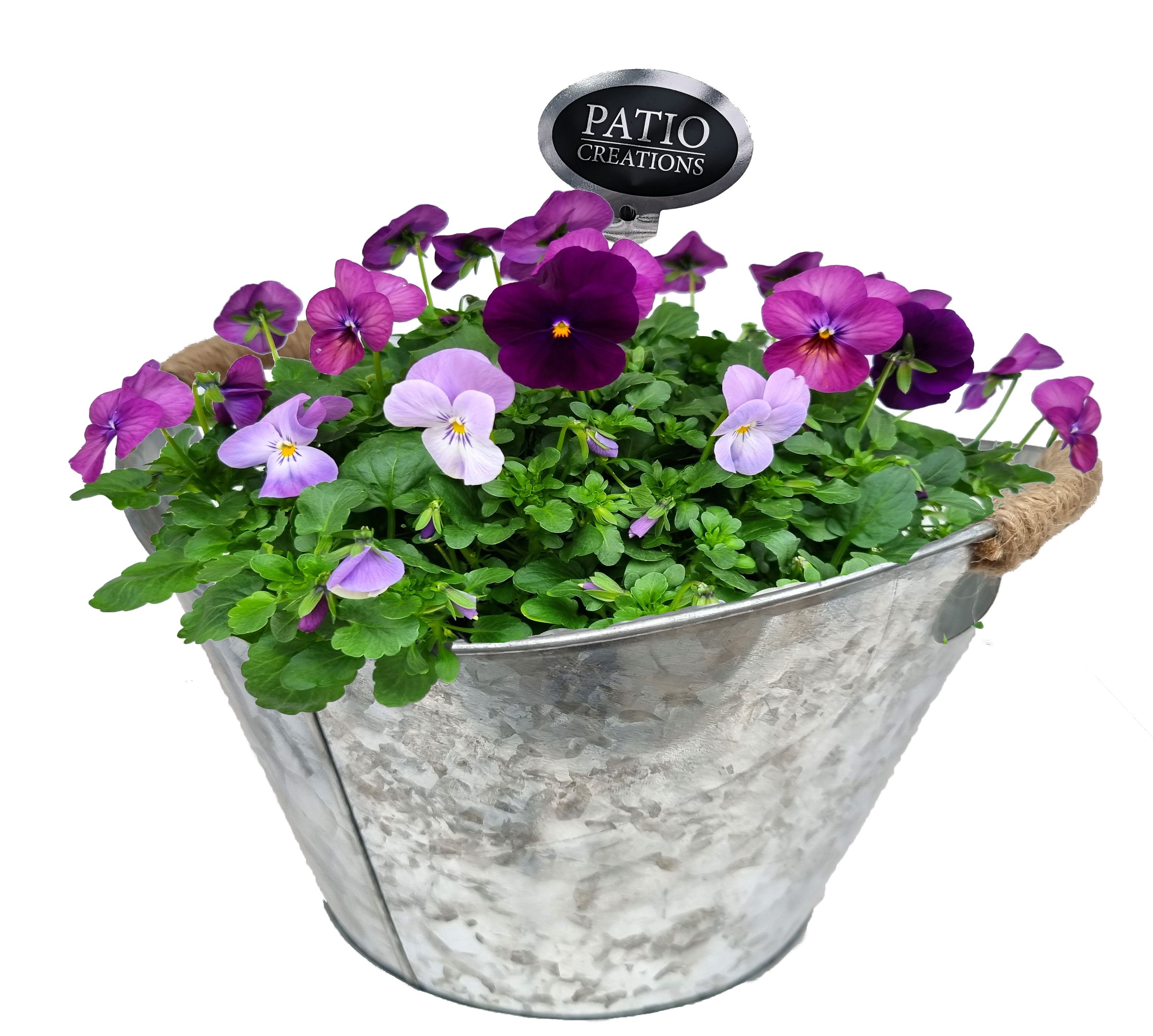 V811-9323 Viola zink handvat touw, D 23