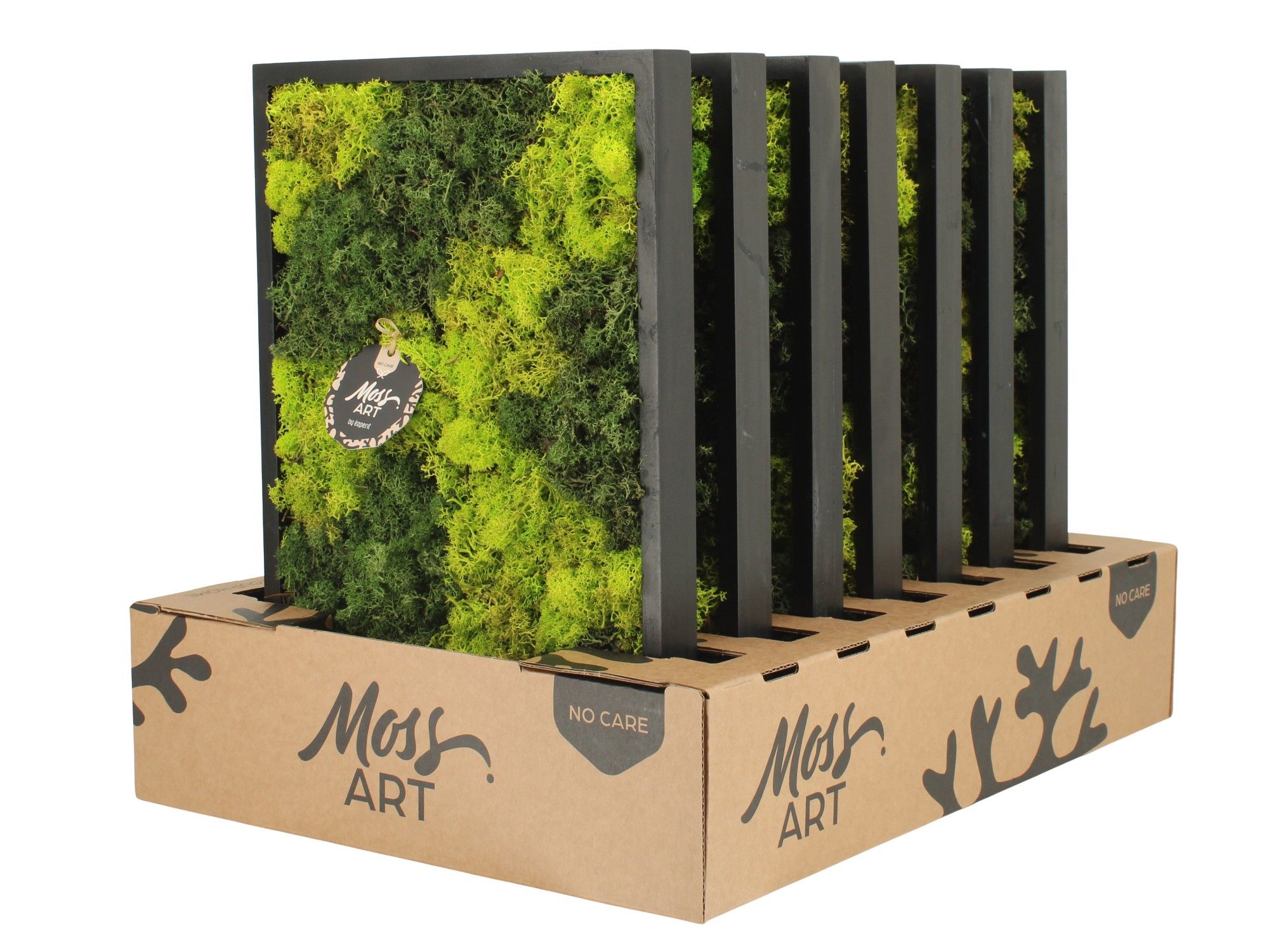 90778: Moss Art Rectangular D38, D 38