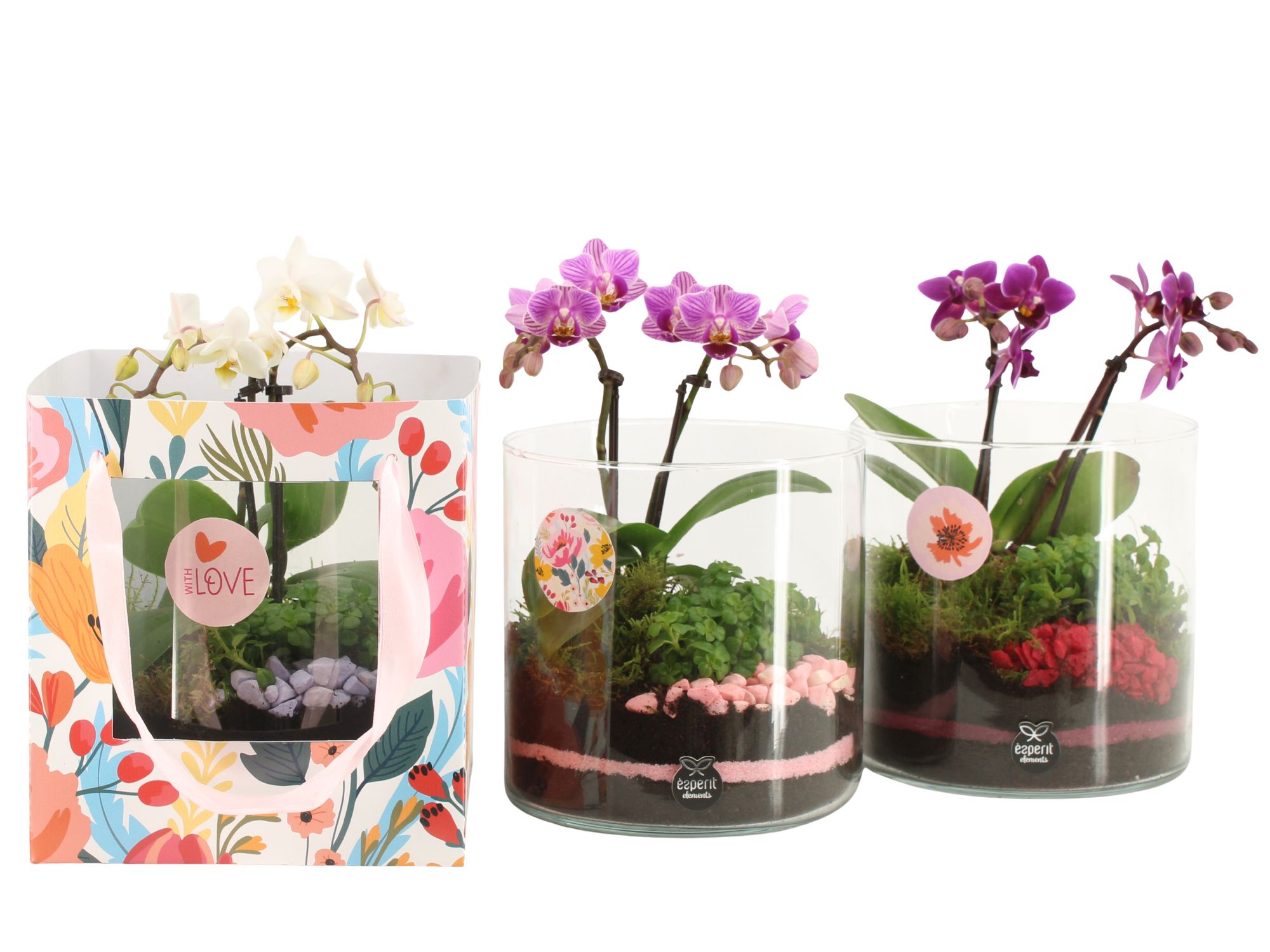 21878: Lovess arrangement, D 17