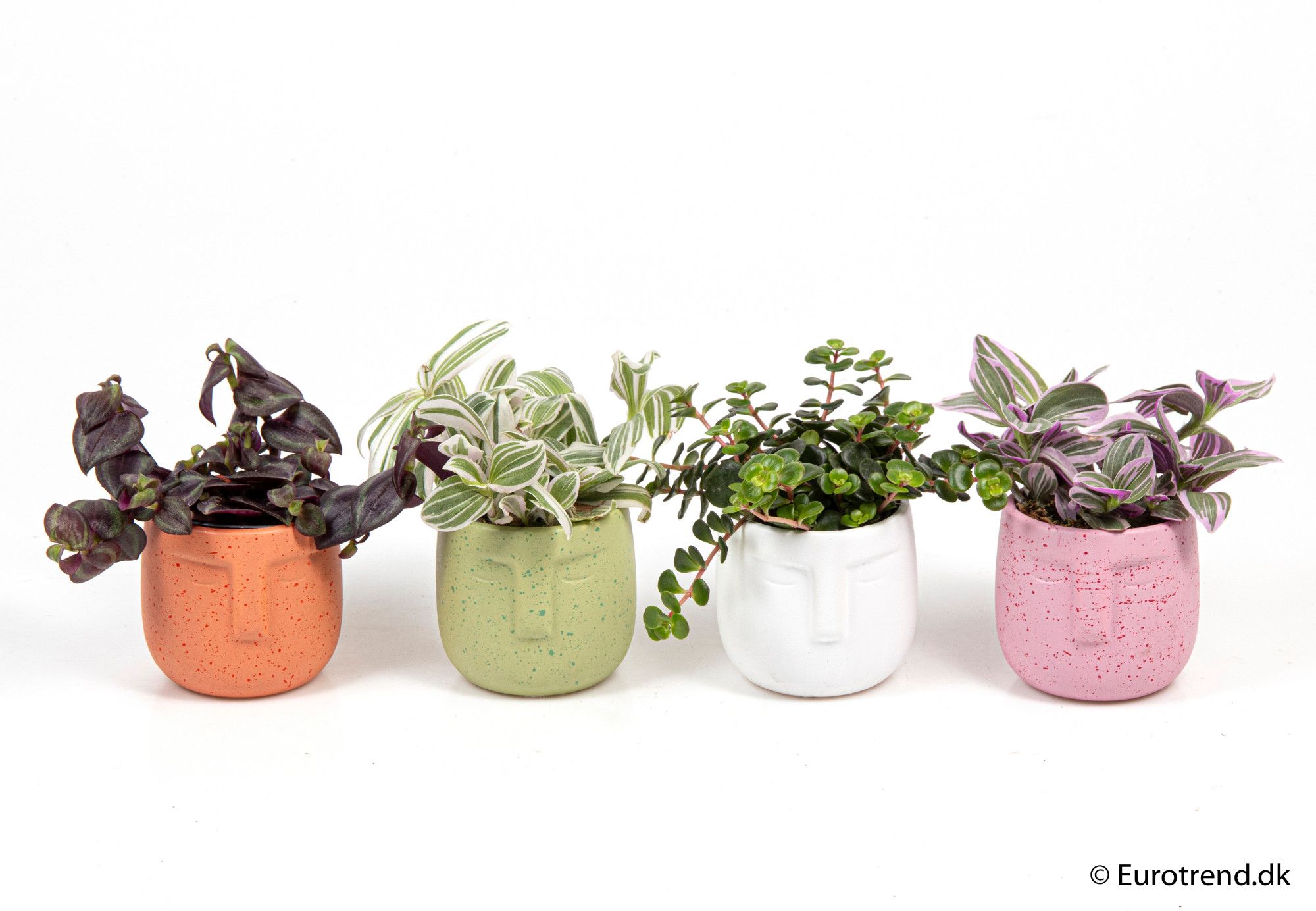 Green mix in ceramic - New Look 2025, D 6