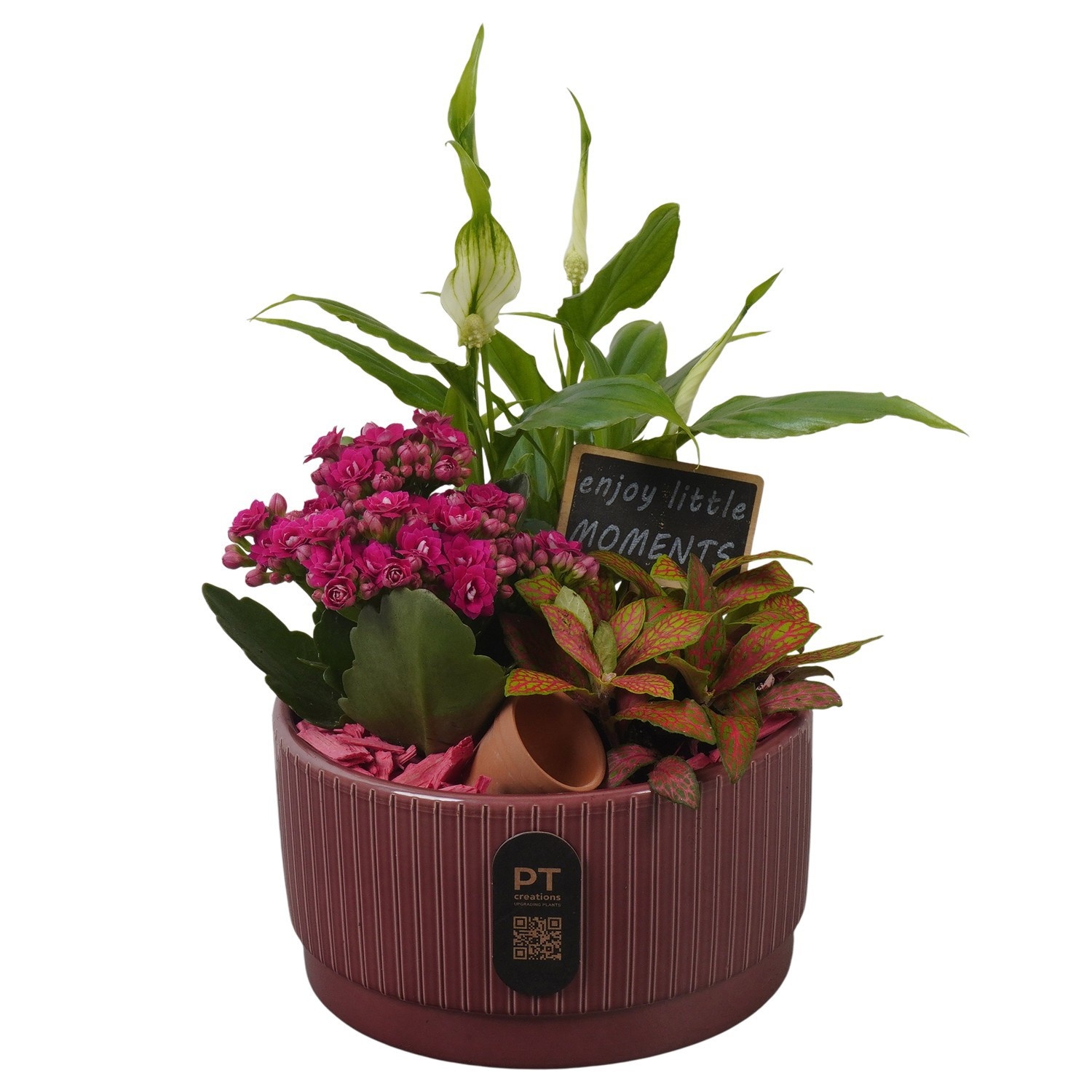 PTIB5107 Arrangement Indoor in keramiek schaal, D 16