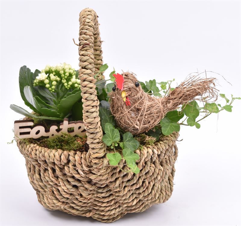 Wilg touwmand ovaal 20x15cm, D 20