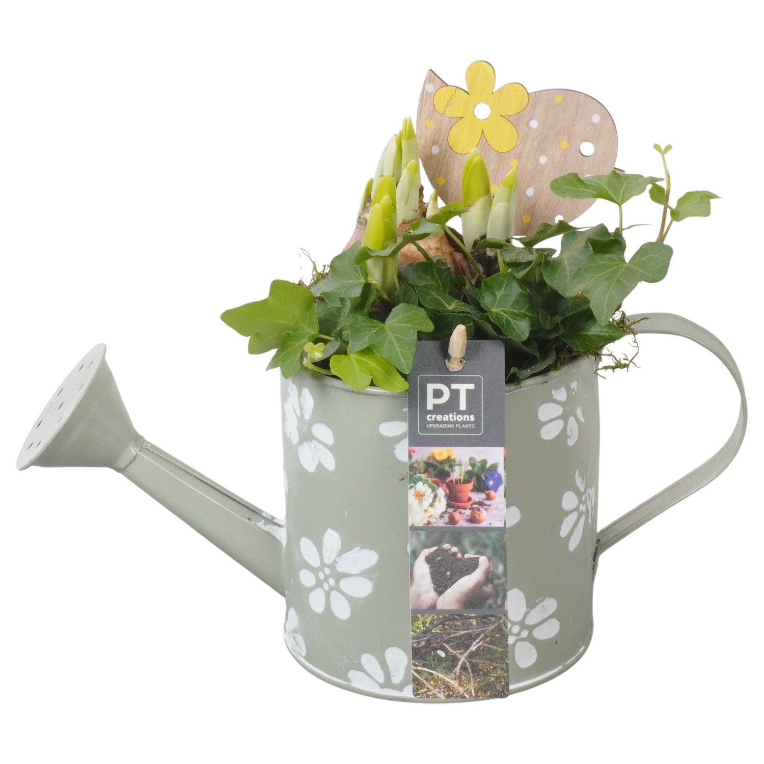 PTBM3758 Arrangement Flower Bulbs Mix in metalen gieter, D 11
