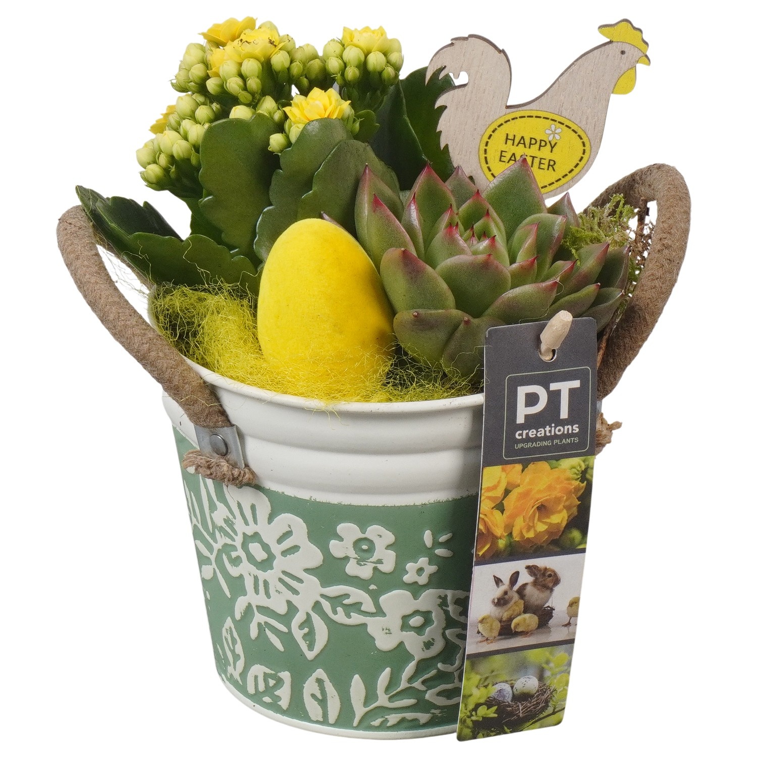 PTPB6440 Arrangement Easter in zink pot, D 12