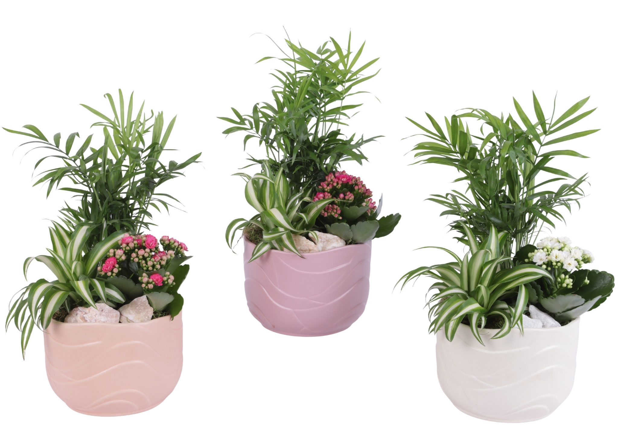 Yearround Arr. Indoor Ceramic Soft Elegance SE660 Ø17cm 3PP, D 17