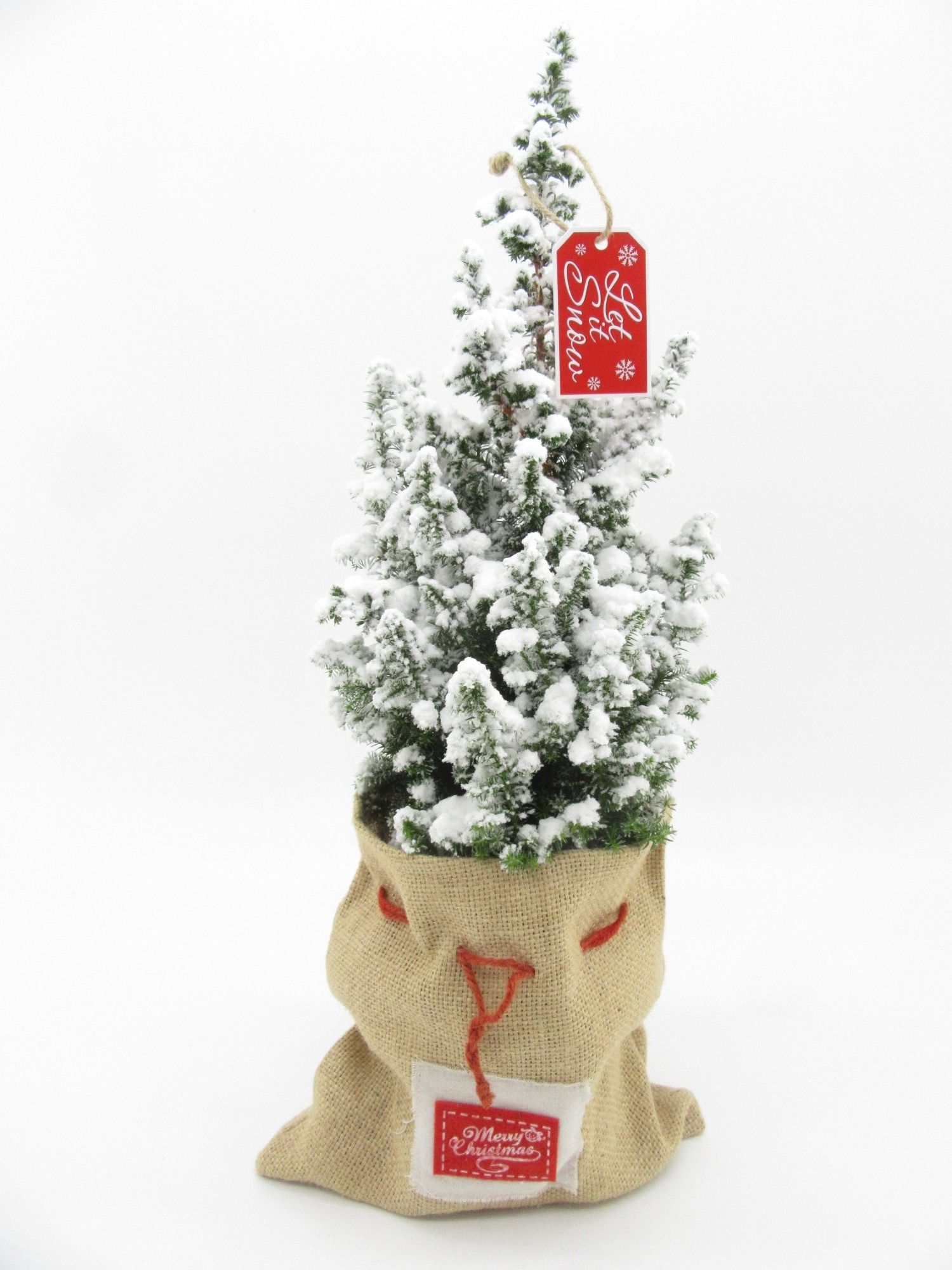 Top Point Sneeuw in jute zak plus touw met deco label, D 15 cm