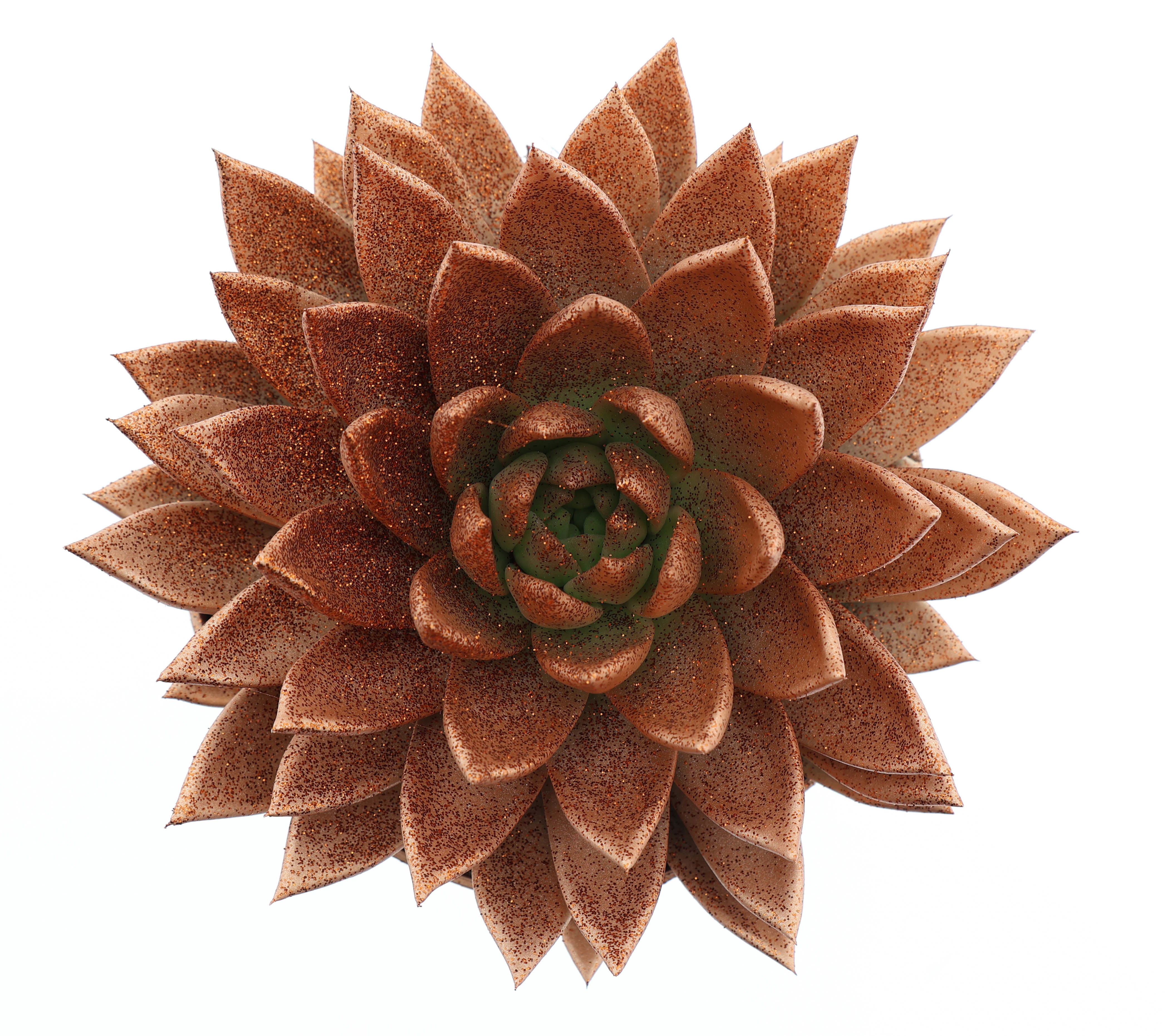 Miranda brons + glitter, D 17